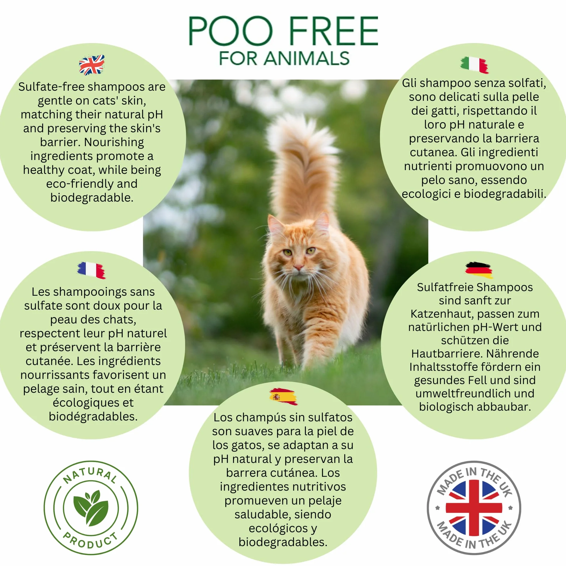 SHAMPOING APAISANT pour Chats 250ml Aloe Vera Thym Romarin sans Sulfates Parabènes Silicone