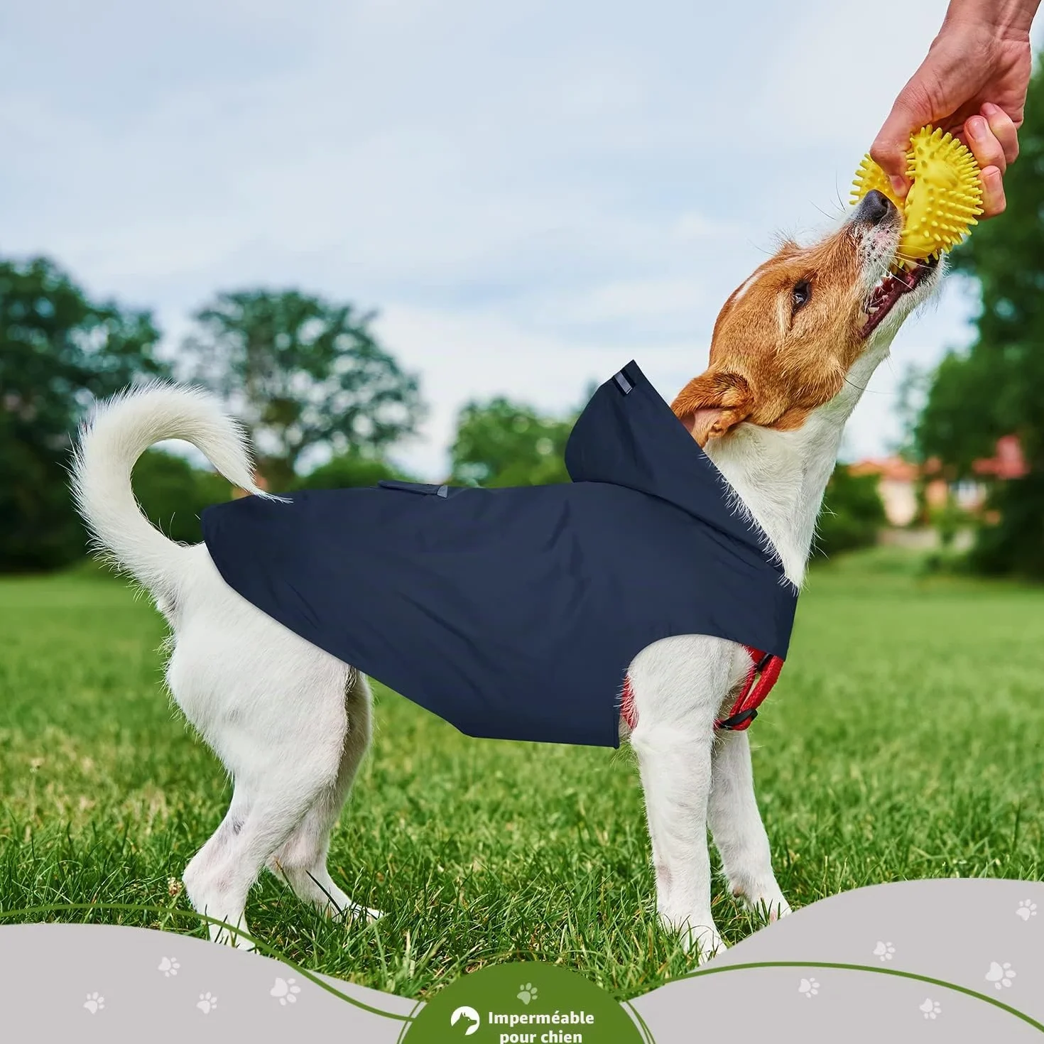 Imperméable pour Chien Zellar avec Capuchon, imperméable pour Chien 100% étanche ultraléger et aéré avec Bandes réfléchissantes pour Chiens Moyens à Grands(5XL, Bleu)