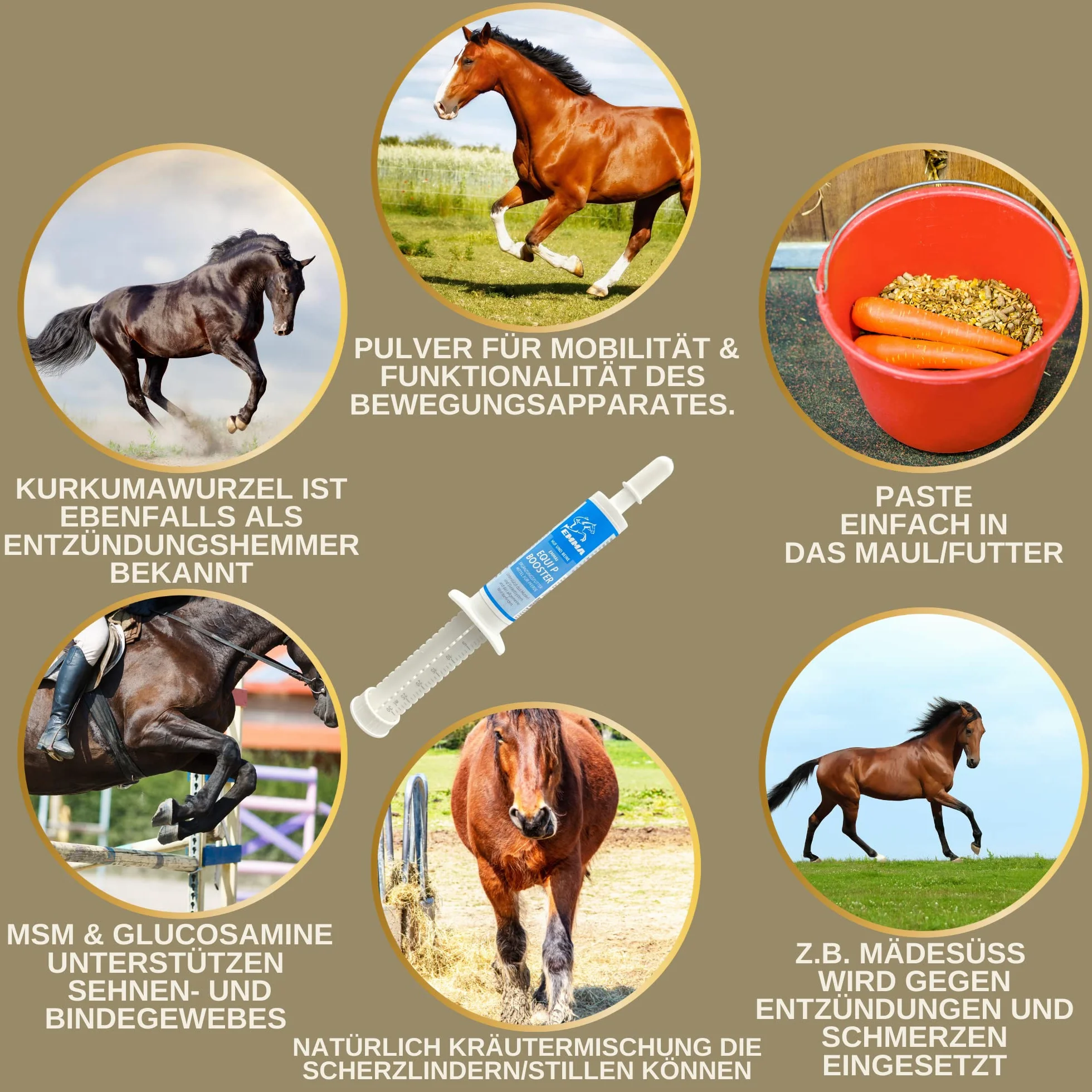 MSM Cheval Pâte vitaminée Plus glucosamine chondroïtine Haute Dose Vitamine C levure de bière Appareil locomoteur articulations 3pc
