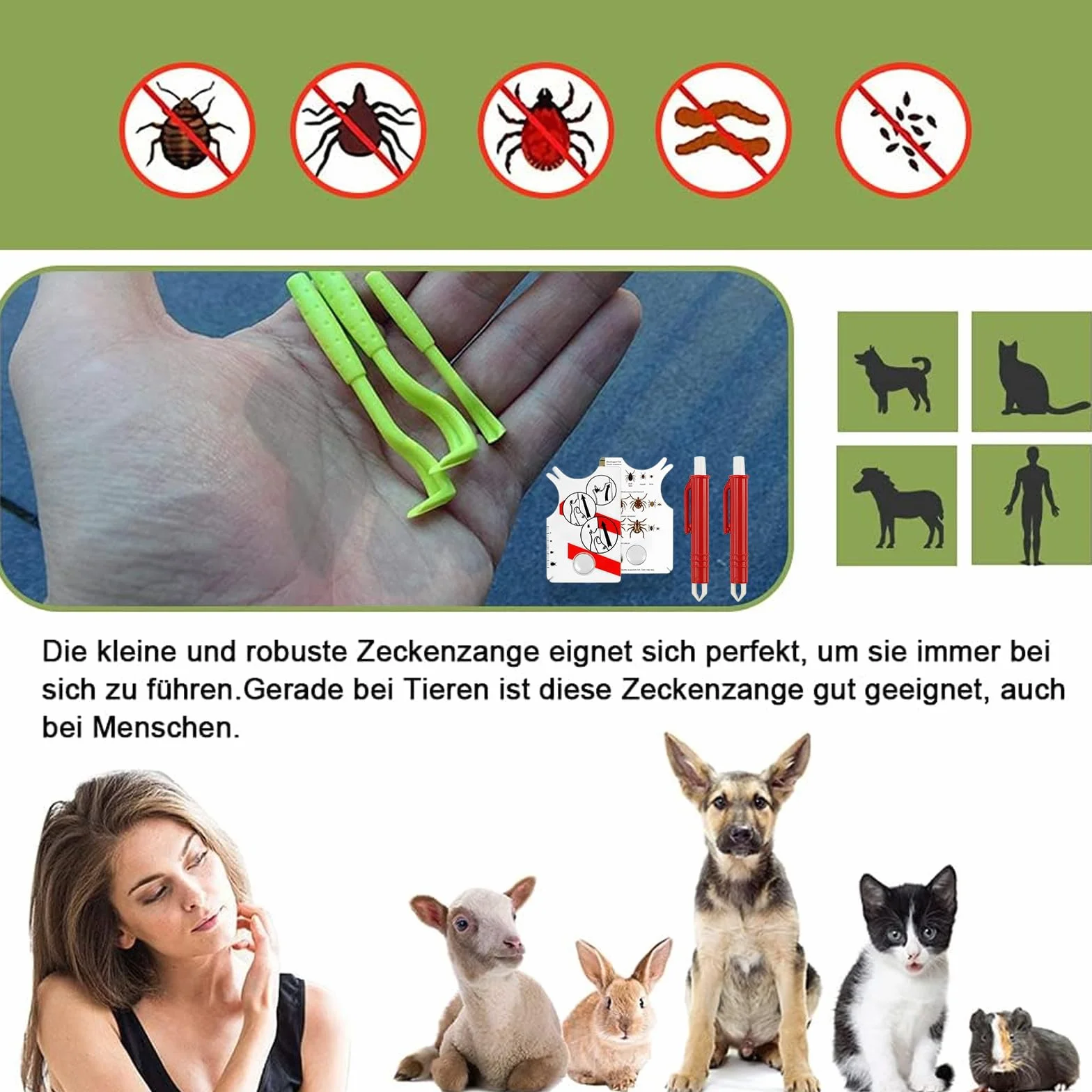 Carte De Retrait De Tiques - Tire-Tique Avec Loupe, Nettoyage Rapide, Pour Humains, Chiens, Chats