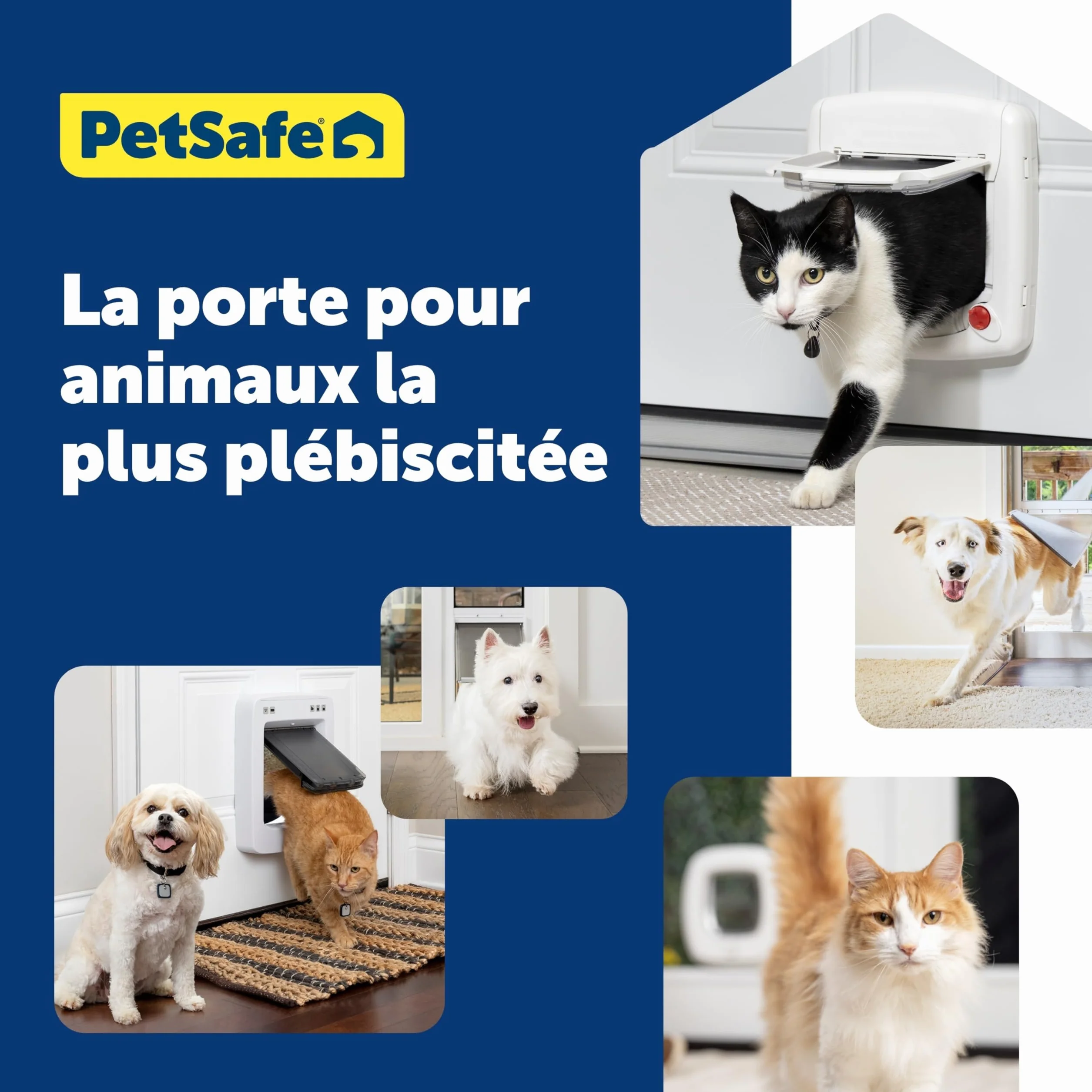 Petsafe Chatière Magnétique Deluxe Staywell pour Chat avec Verrouillage 4 Positions Collier Clé Magnétique Blanc
