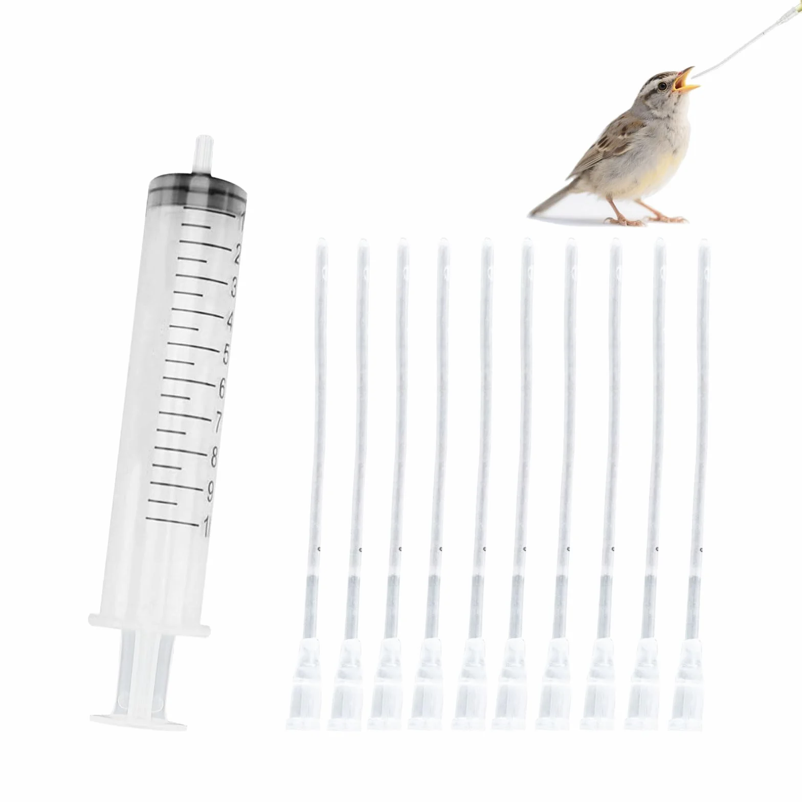 Lot de 11 tuyaux d'alimentation pour jeunes oiseaux avec seringue 10 ml outil à main pour pigeons perroquets bébés oiseaux