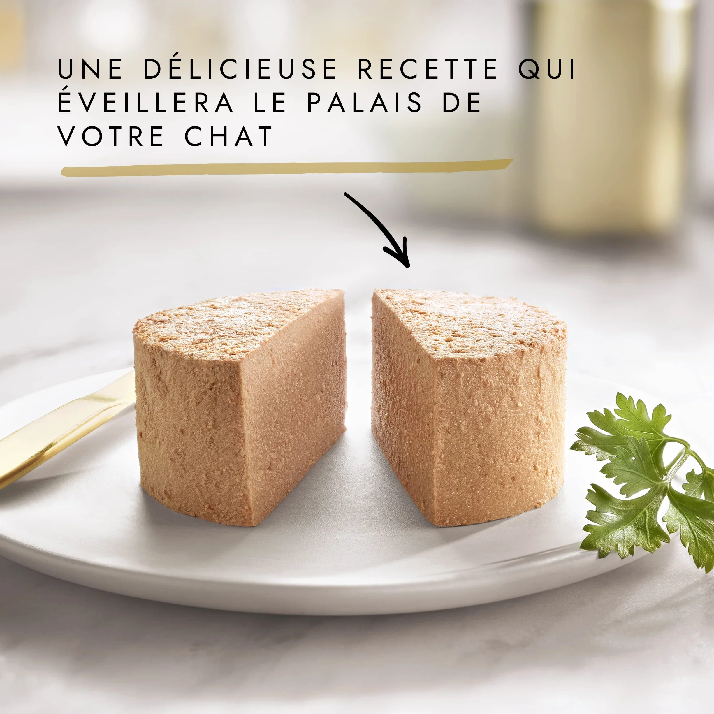 GOURMET GOLD Chat Les Mousselines Aliment Complet pour Chat Adulte Lapin Bœuf Veau Agneau Boite Lot de 4 (24x 85 g)