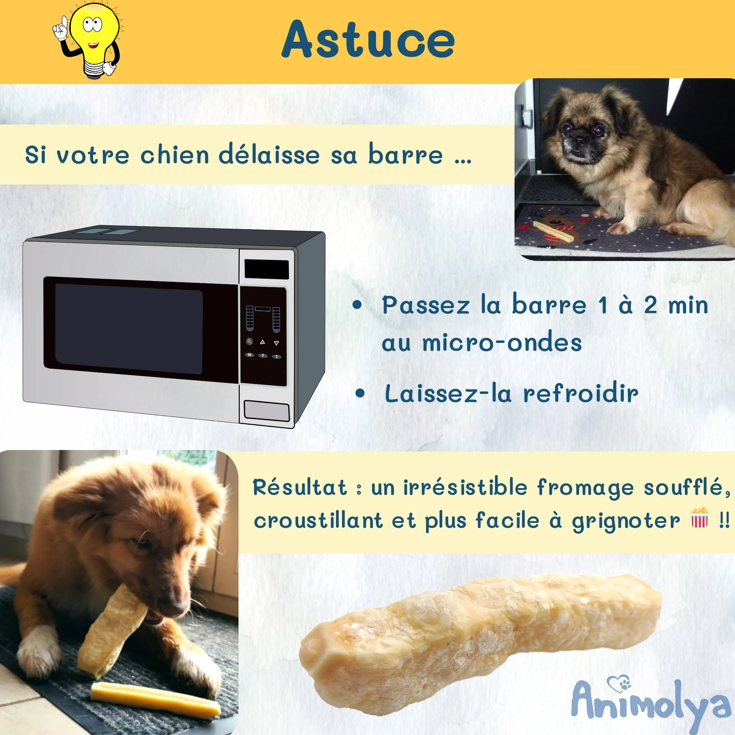 Friandises pour Chien Bâton de Fromage à Mâcher 100% Naturel Hygiène Dentaire Taille S Lot de 3