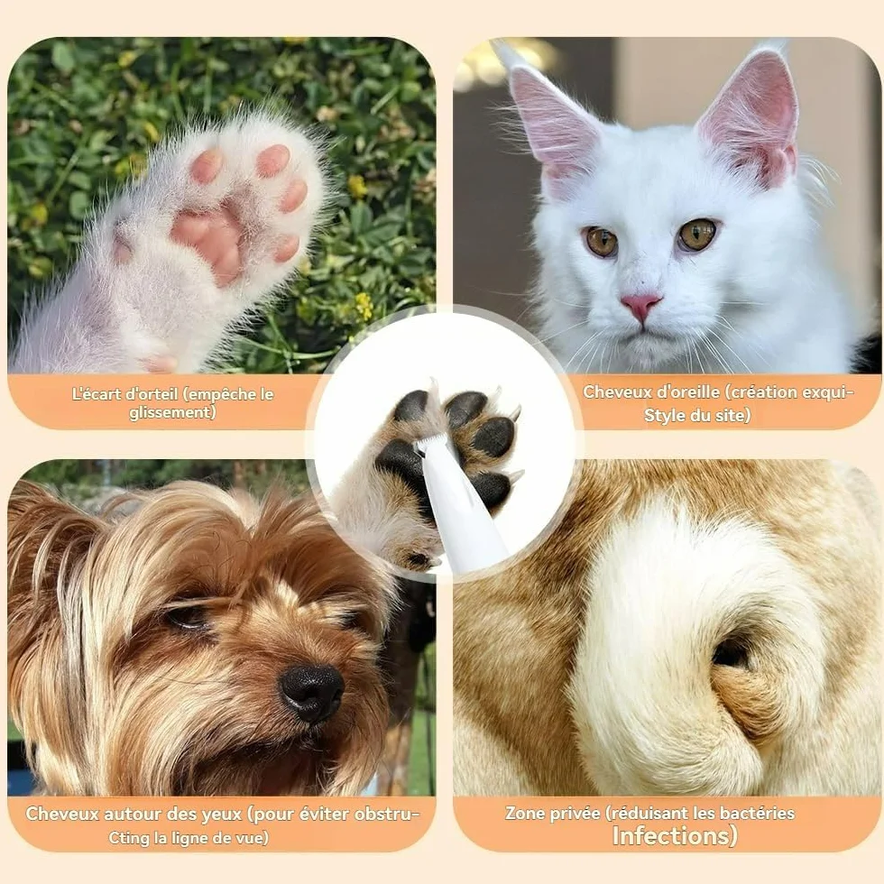 Patounet Tondeuse de Précision pour Chat, Silencieuse avec Lumières LED, Étanche IPX4