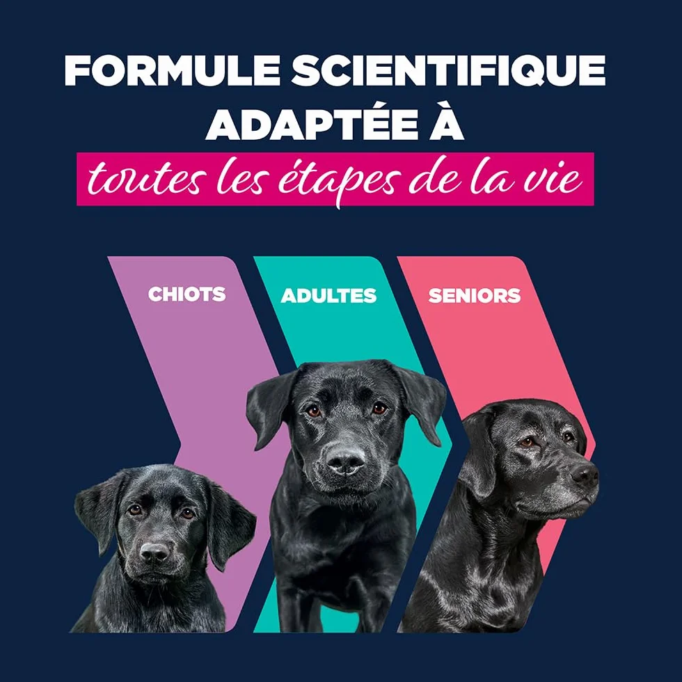 EUKANUBA Life Care Aliment Humide Chien Adulte 1-7 Ans Toutes Races, Pâtée Riche en Bœuf & Courges, Oméga-3, Calcium, 6x400g