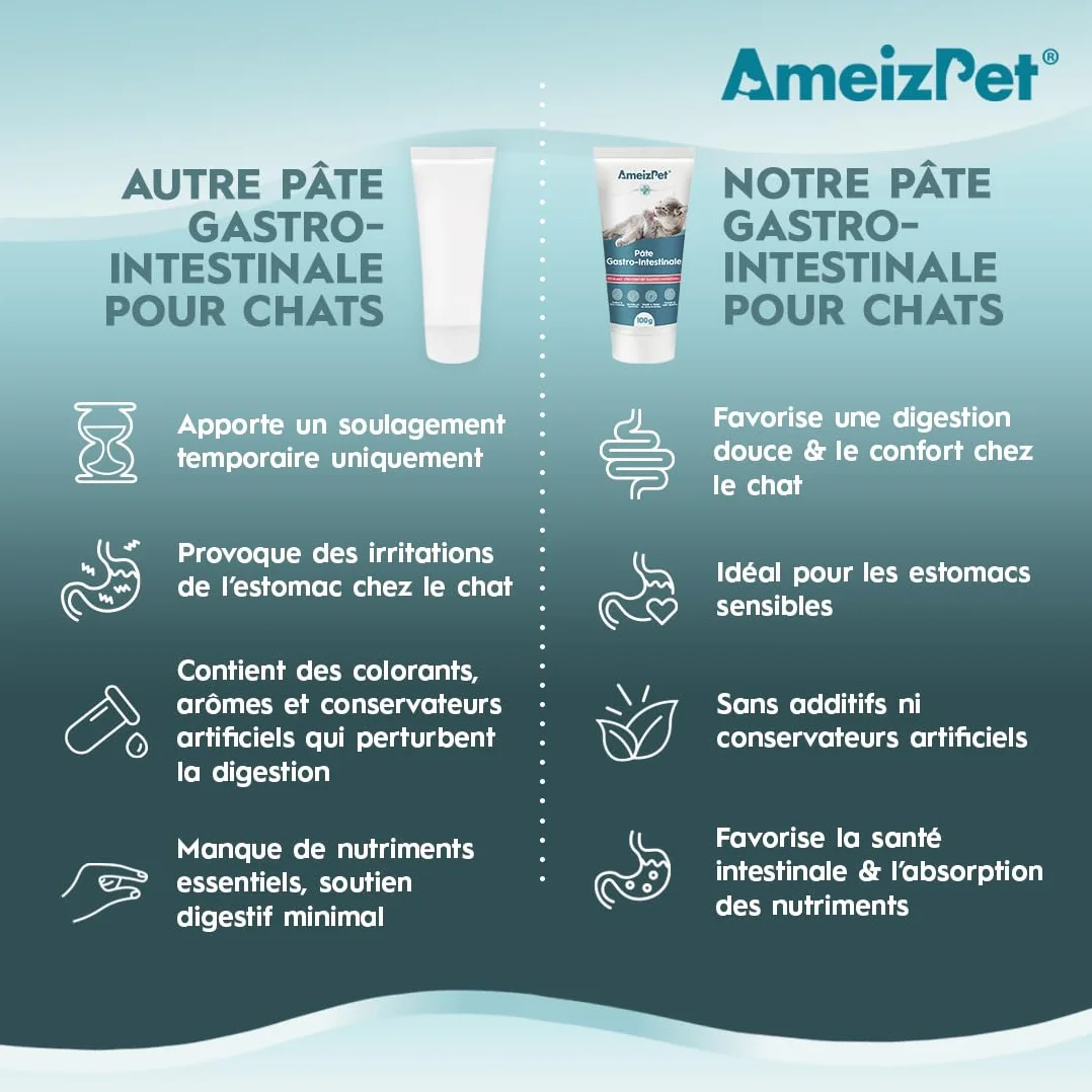AmeizPet Pâte Gastro Intestinale pour Chats, 100 g – Complément Digestif pour la Santé Intestinale