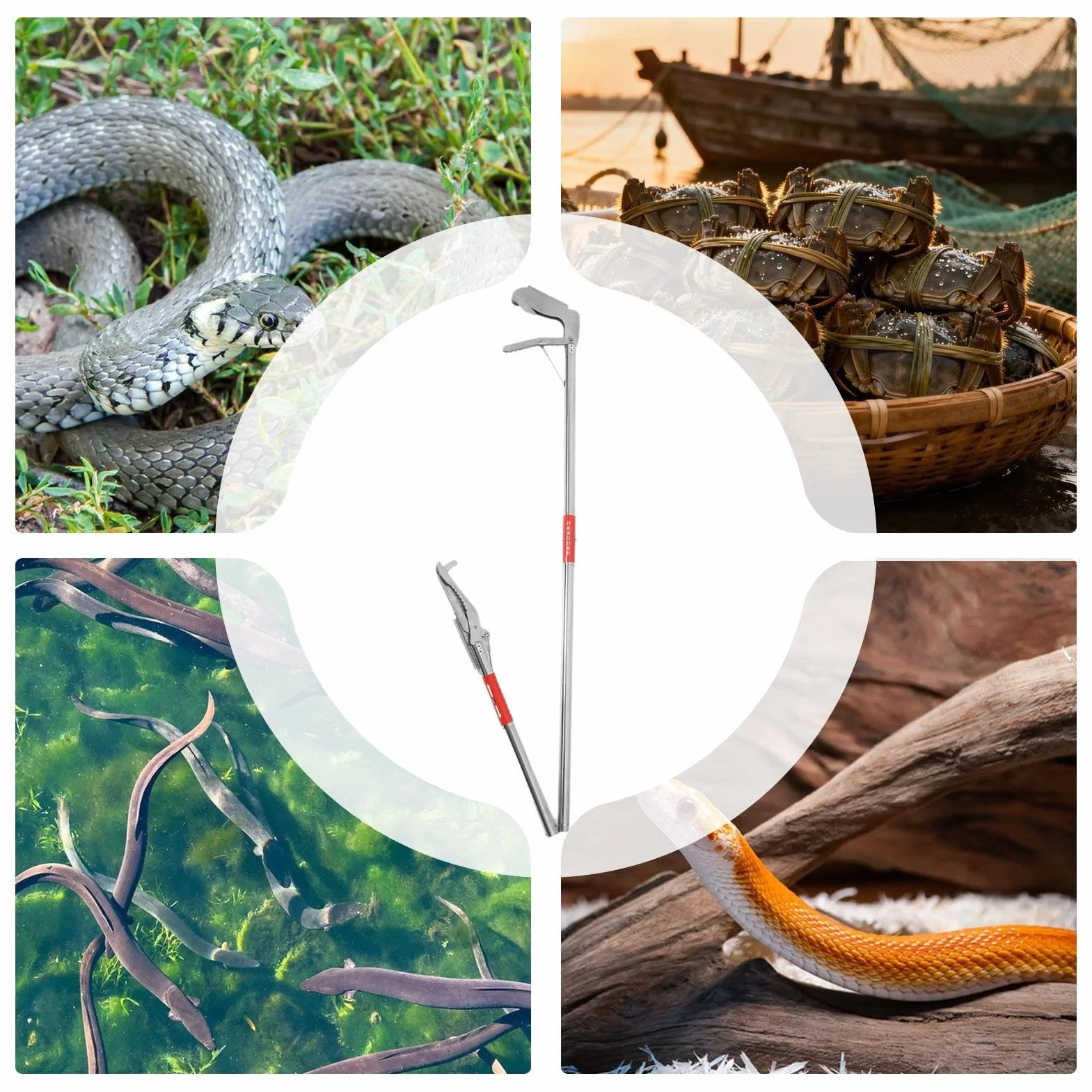Pinces à serpent pliables en acier inoxydable pour attraper des crabes – Outil de récupération des déchets