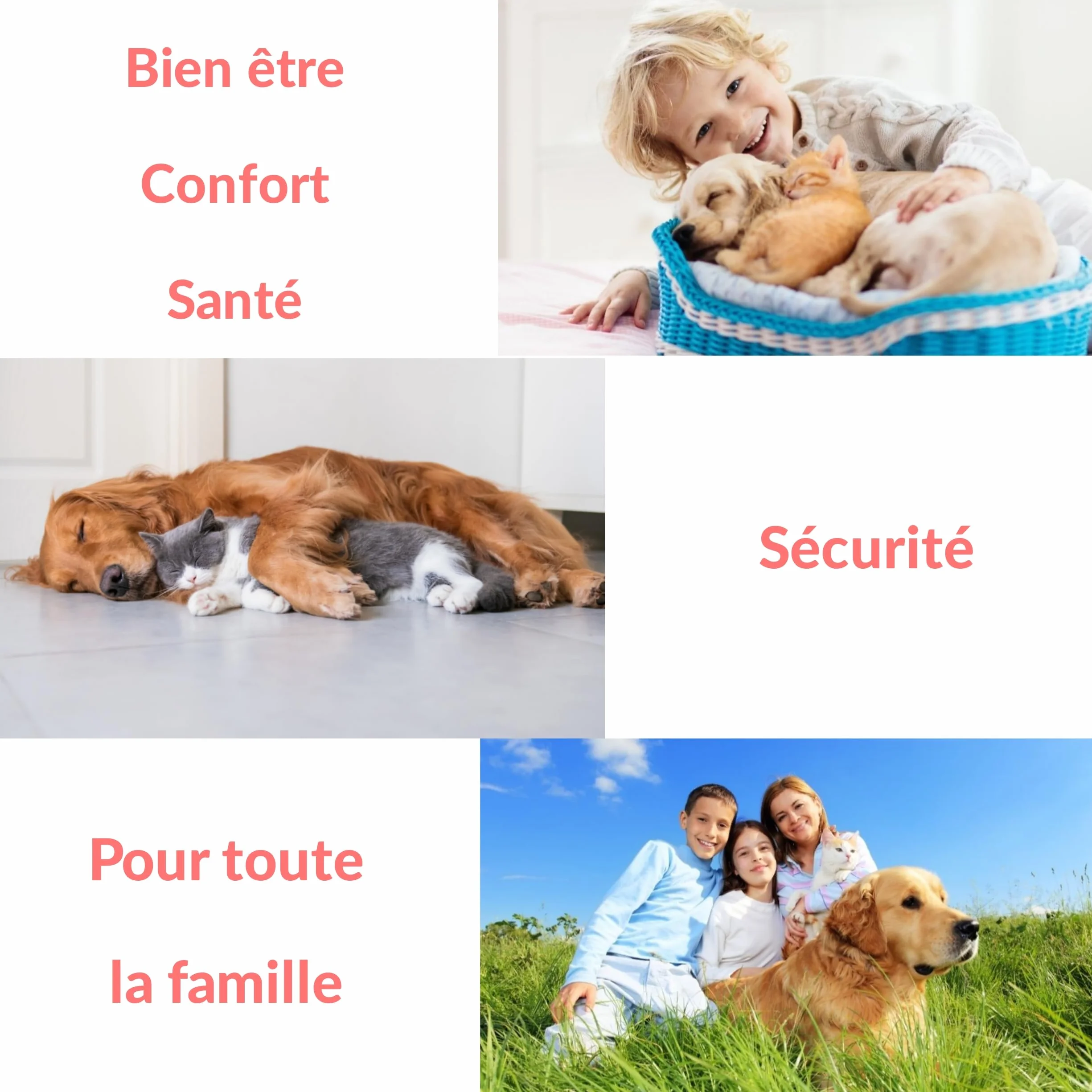 Peigne anti puce et tique pour chien chat Kit crochet tire tiques élimination naturelle Lot 5 pcs