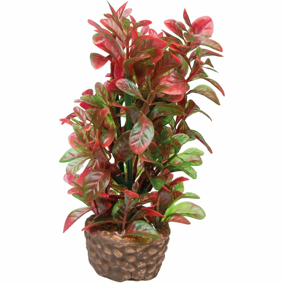 Hobby Flora Stone 4 Plantes Artificielles pour Aquarium, 13 cm