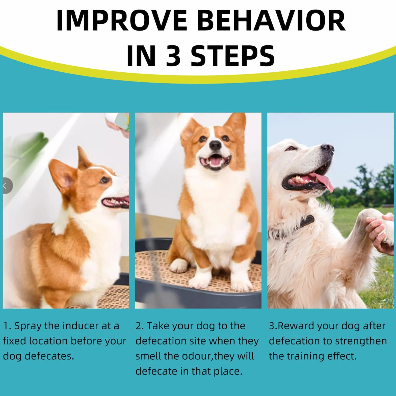 Spray d'apprentissage de la propreté pour chien – Attractif urine 150 ml intérieur et extérieur