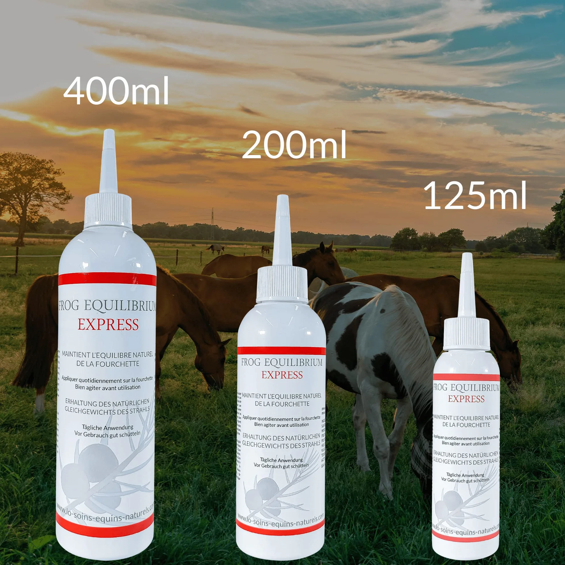 Frog Equilibrium Express - Soin Naturel réparateur et Protecteur des fourchettes pour Cheval - Retour Rapide à l'état physiologique (125 ML)