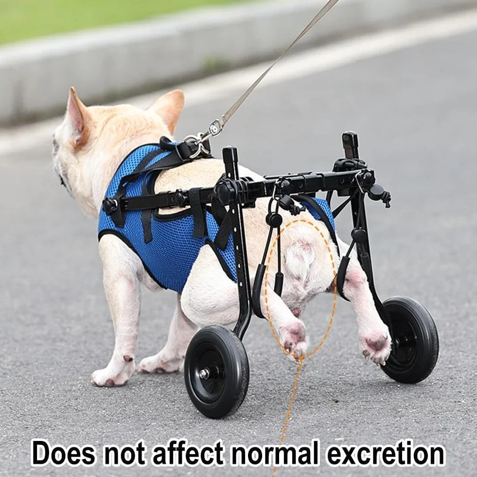 Chariot réglable pour chien handicapé aide mobilité membres postérieurs rééducation
