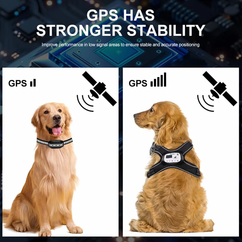 Pilipane GPS Wireless Dog Fence avec 3 Modes de Formation Système de Clôture Rechargeable pour Animaux de Compagnie