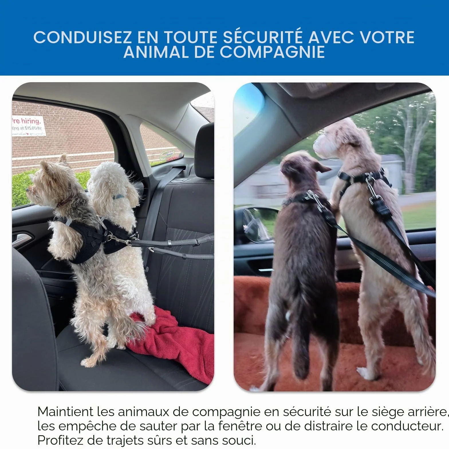 Réglable Double Ceintures de Sécurité pour Chien pour Voiture avec Absorption des Chocs pour Chien