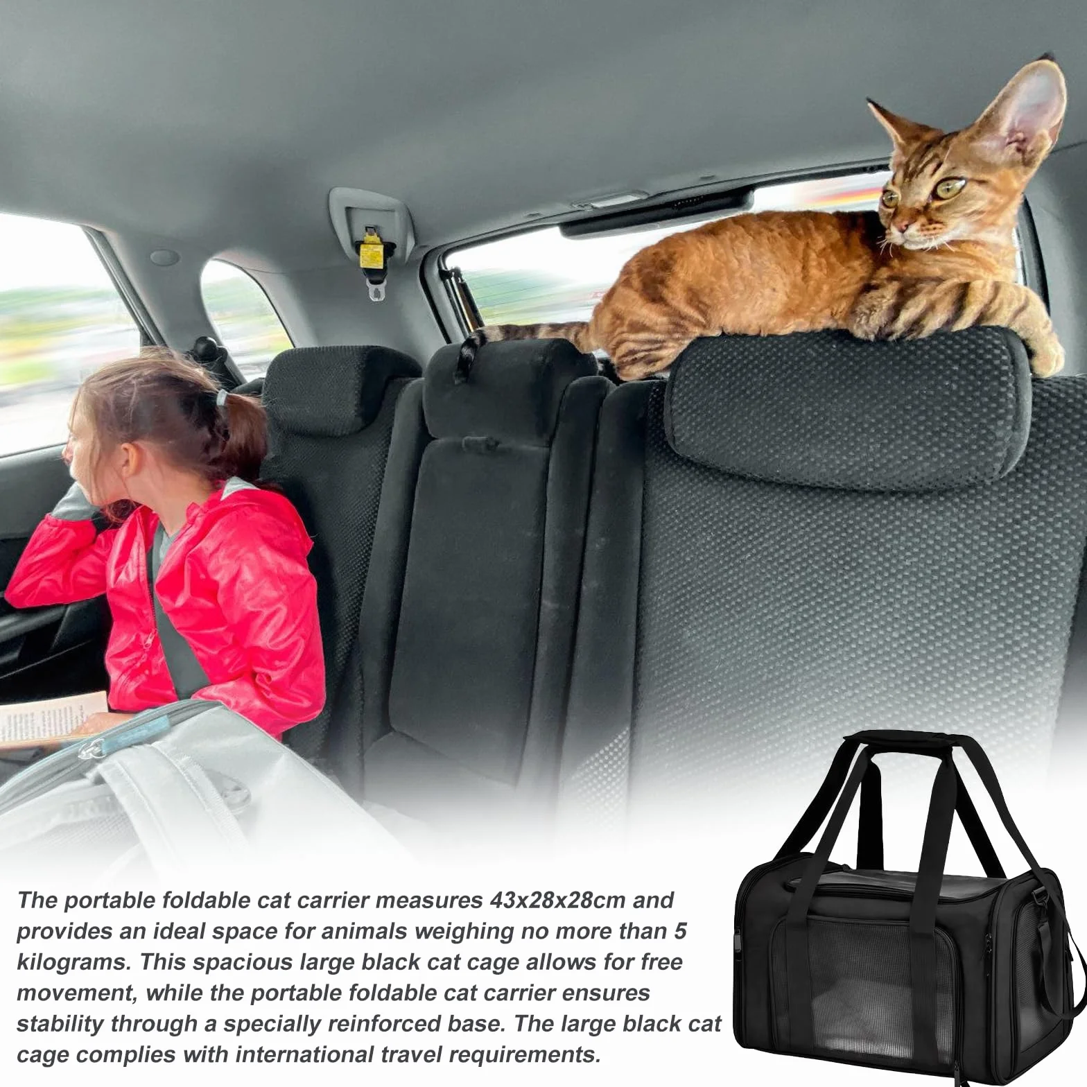 Pliant Sac de Transport pour Chat Noir Portable Voyage Respirant Petit Animal