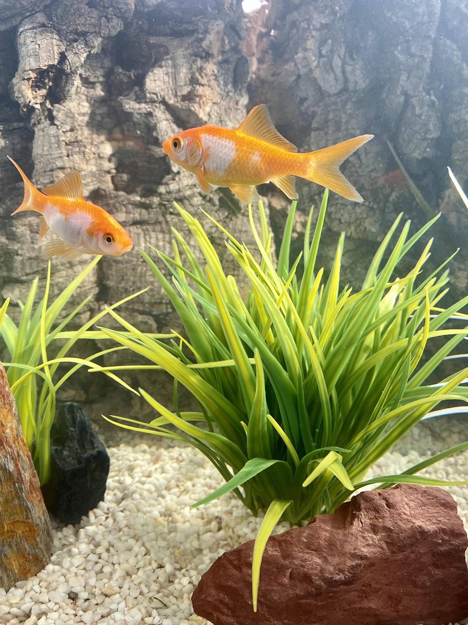 Tyrol Plante d'Aquarium Artificielle Décoration Plastique Socle Buisson Verte Fabriquée en France