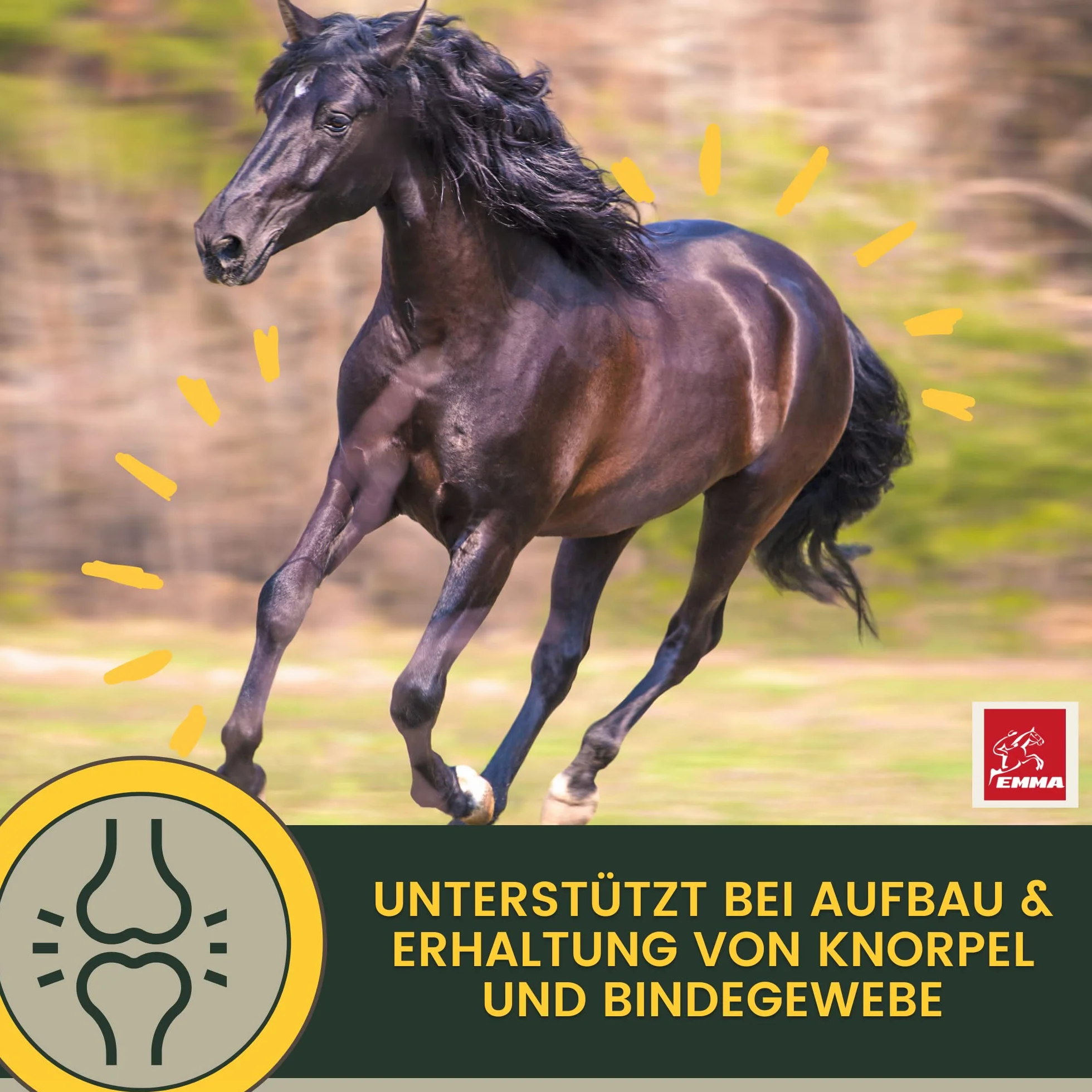 Cheval 1L Liquid Glucosamine & Chondroïtine Haute Dose avec MSM Complexe articulaire