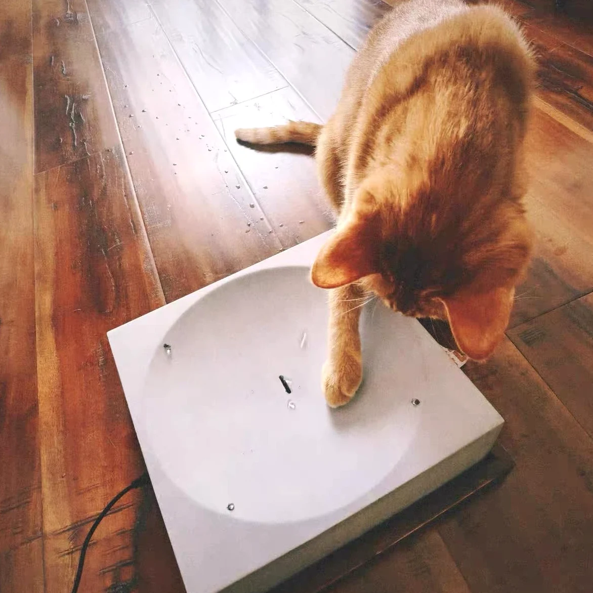 Goutte d'eau automatique pour chat Jouet Teaser Sculpture moderne de l'eau qui coule pour chats et chiens d'intérieur Utilisation au bureau
