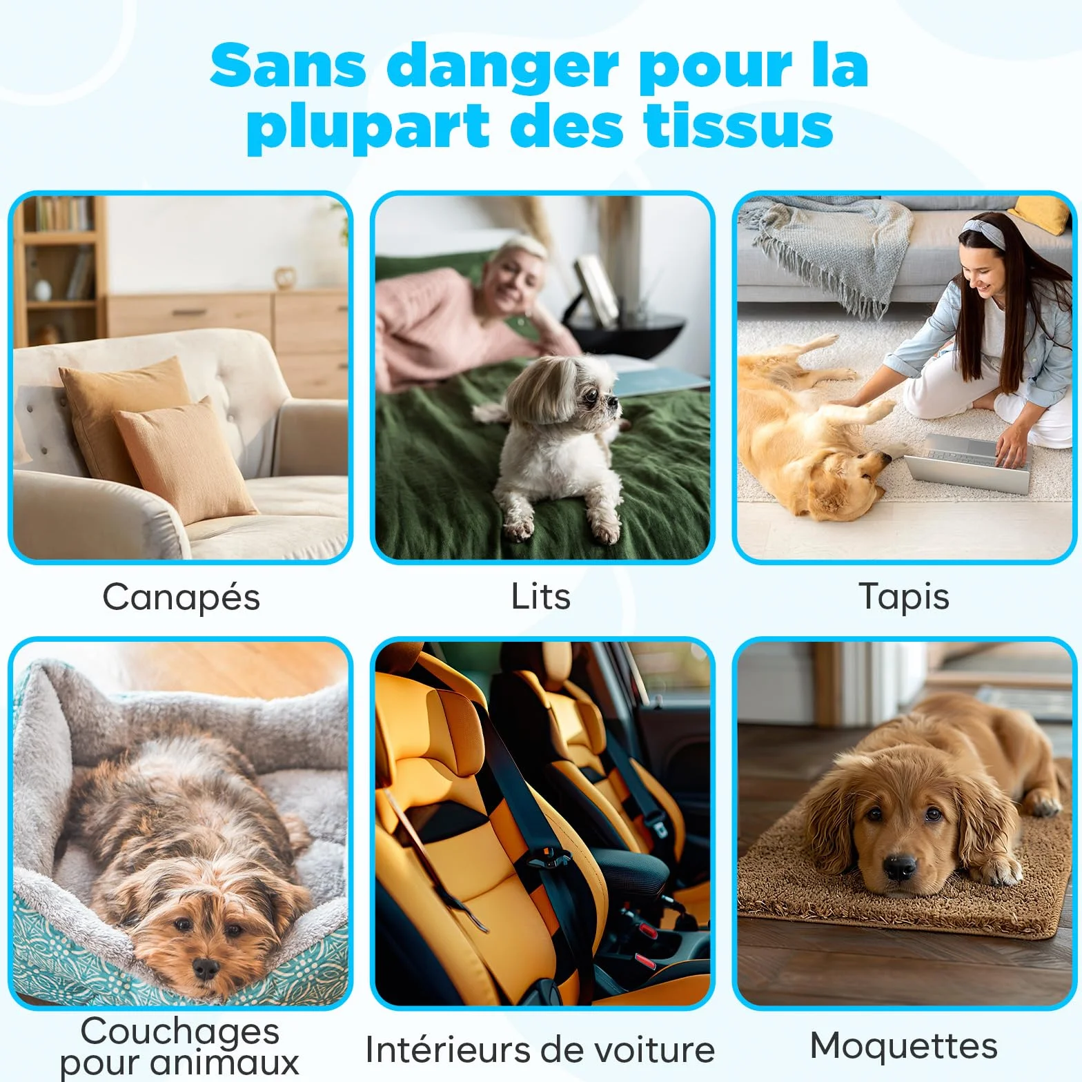 Ramasse-Poils Réutilisable pour Canapé, Tapis & Textiles, Brosse à Poils Animaux, Manche Amovible