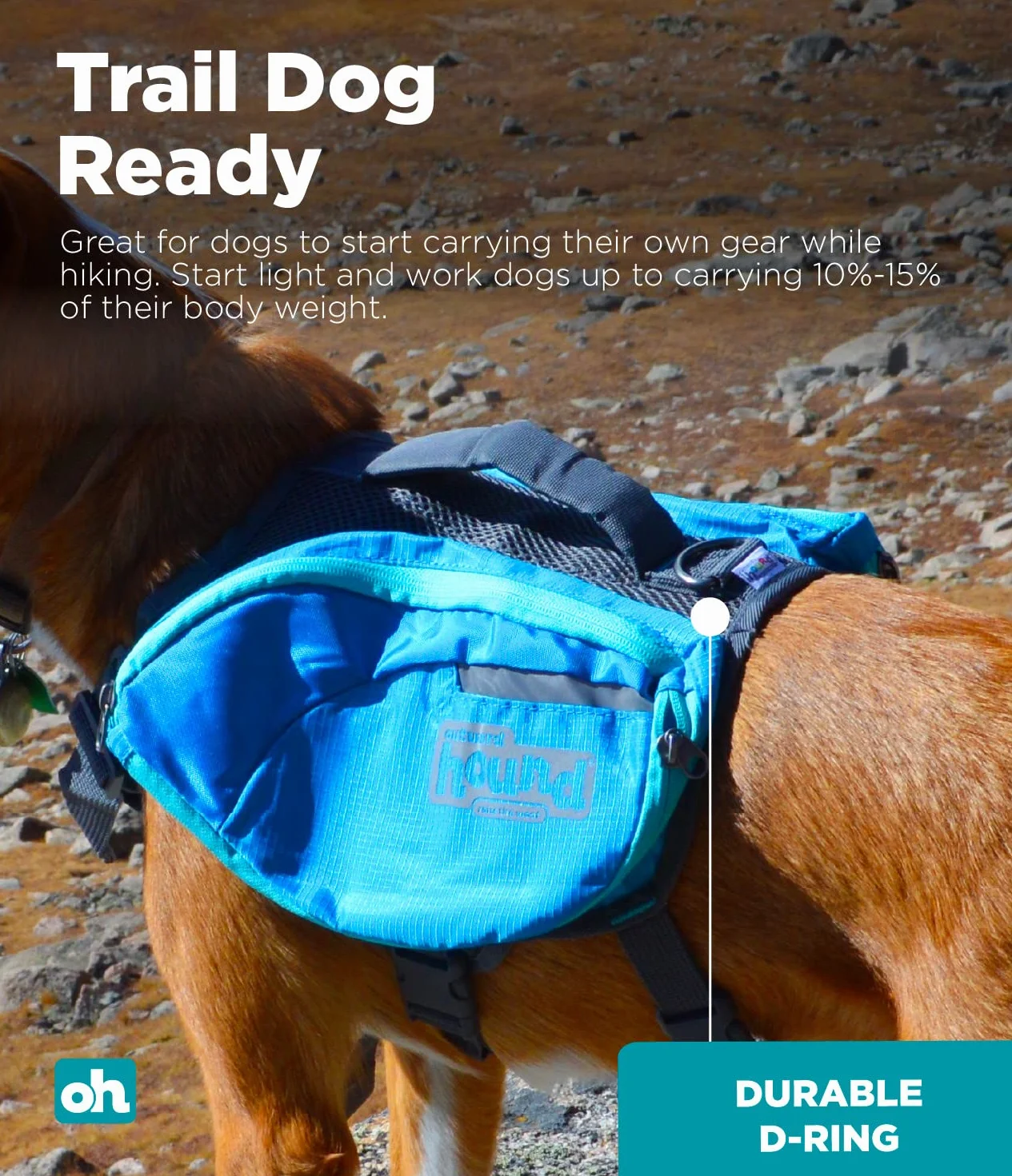 Outward Hound Daypak Sac à Dos pour Chien Grand Bleu