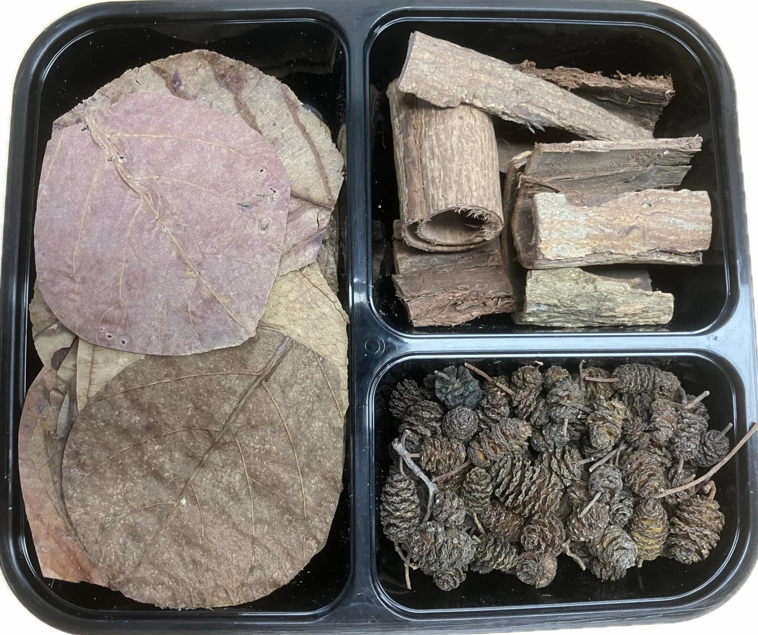 Kit d'aquarium avec tanins – Cônes d'aulne, feuilles de badamier, écorce de badamier