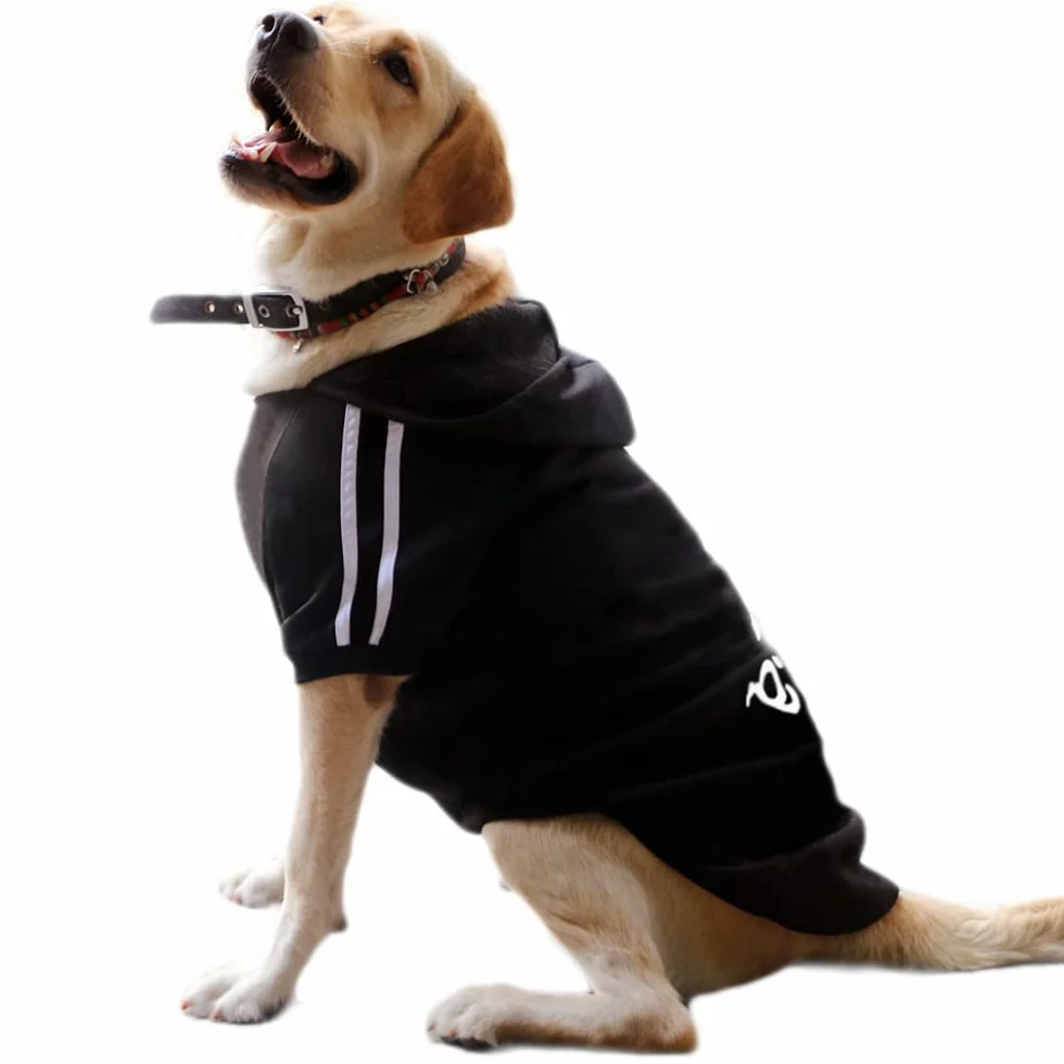 Sweat à Capuche Chaud Coton pour Chien, Noir, 3XL