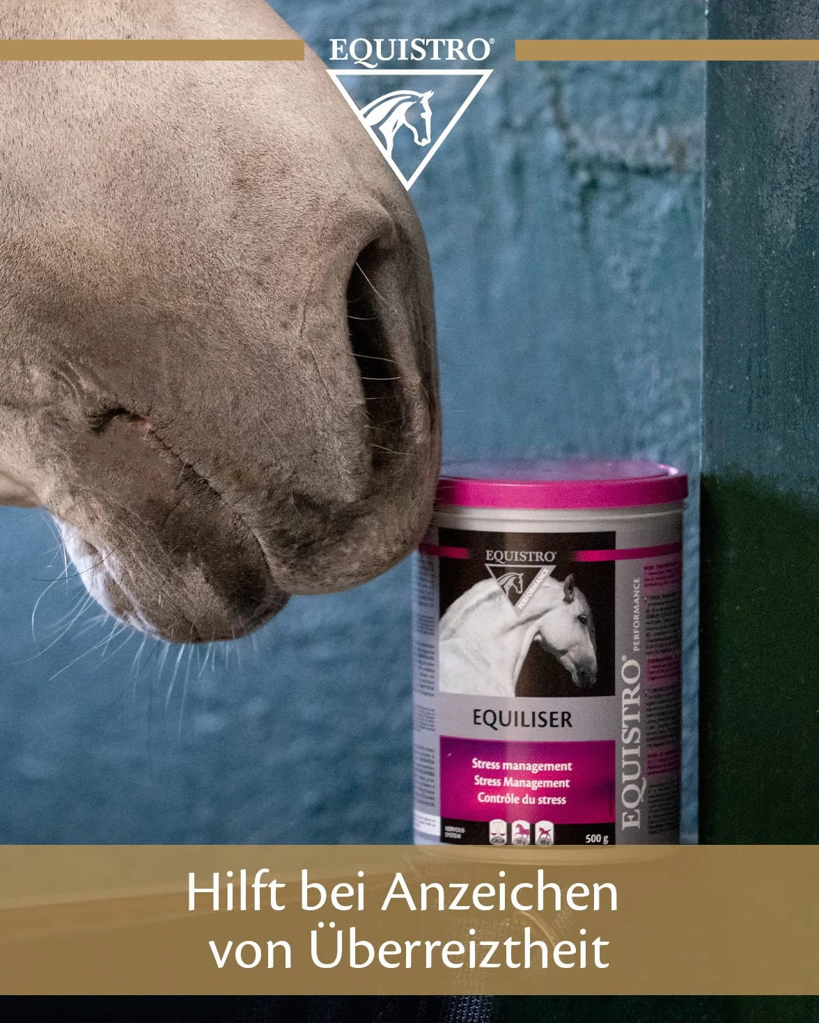 EQUISTRO® Equiliser - Complément Alimentaire pour Chevaux avec magnésium hautement concentré - Peut réduire Les comportements indésirables - en Cas de Signes d'hyperirritation - Qualité supérieure -