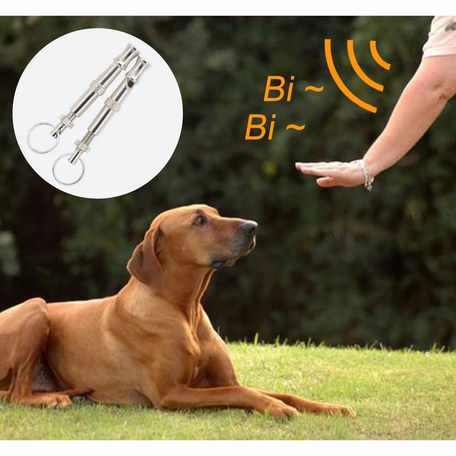 Sifflet pour Chien en Acier Inoxydable à fréquence réglable Andiker 2 Pcs avec lanière