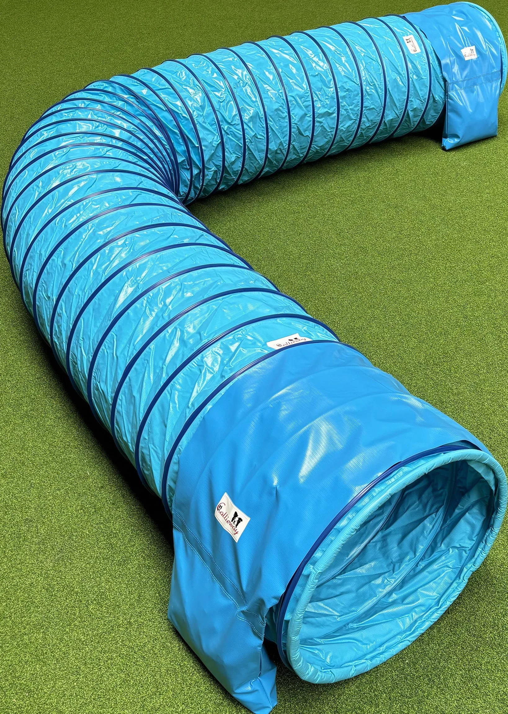 Tunnel d'agility pour chien Callieway® Profi 4m Bleu ciel-Cyan