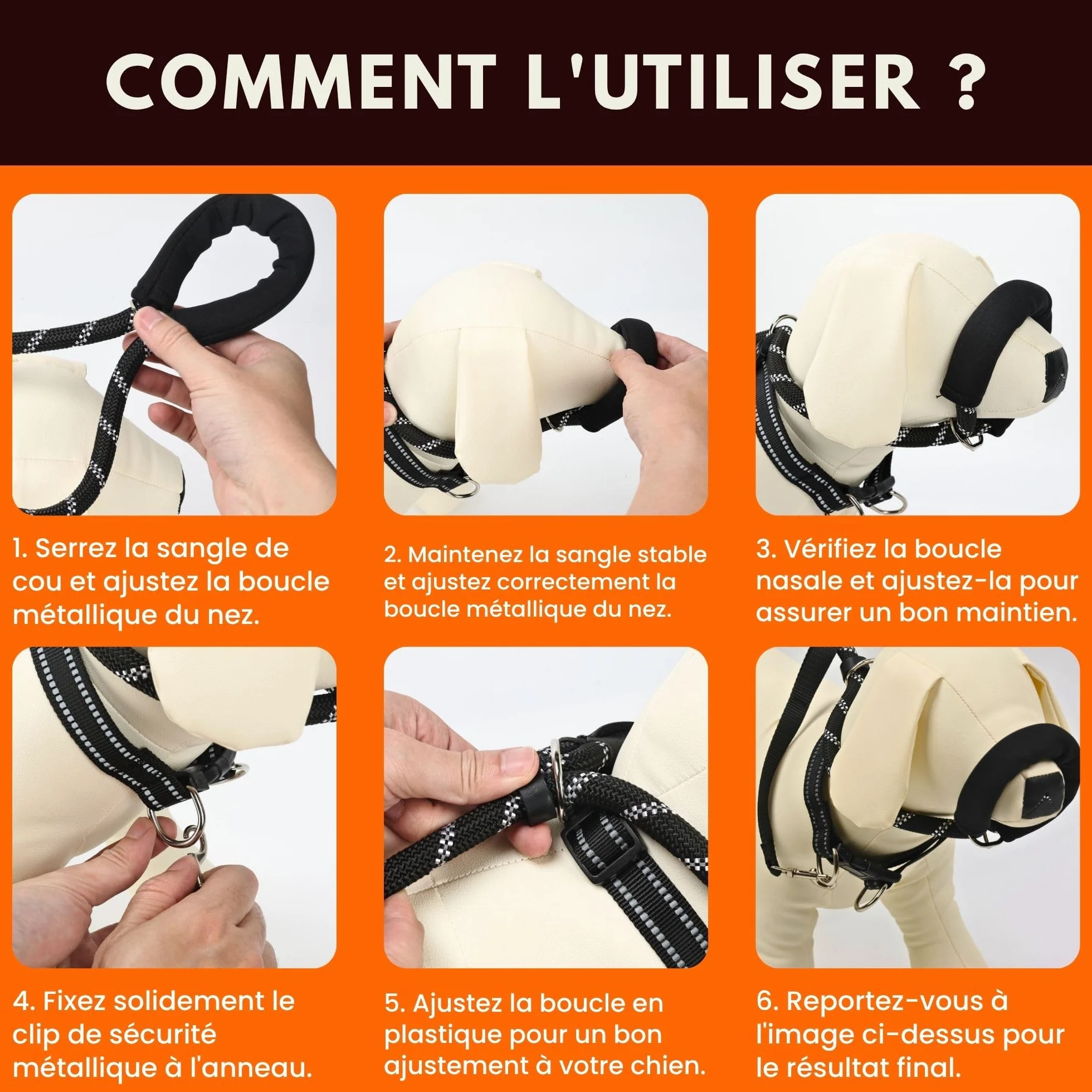 SOLDAY Laisse Anti Traction Chien 2m Lasso Multiposition Réfléchissante Noir