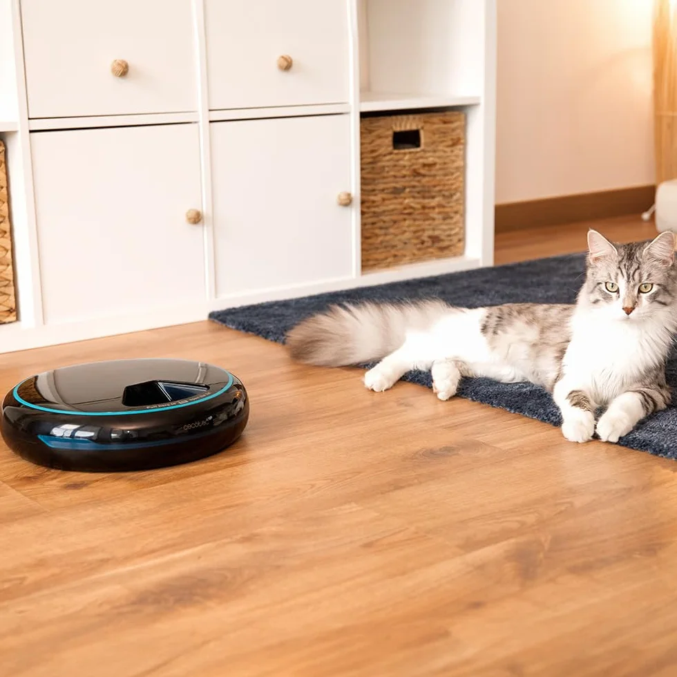 Cecotec Pumba 1600 Purrfect Meal Distributeur Automatique de Nourriture 1,6 L 4 Sections LED