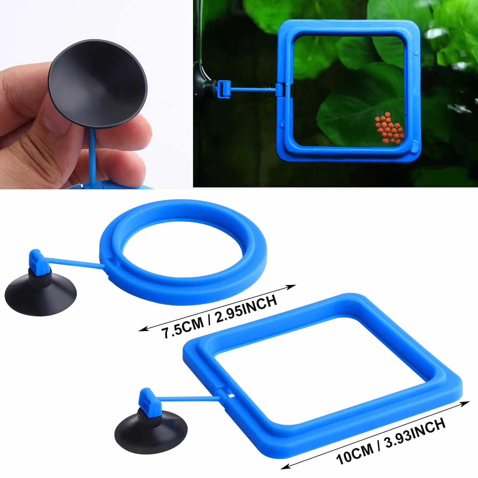 Lot de 2 mangeoires pour poissons d'aquarium - Accessoires circulaires pour guppys, bettas, poissons rouges, tortues (bleu)