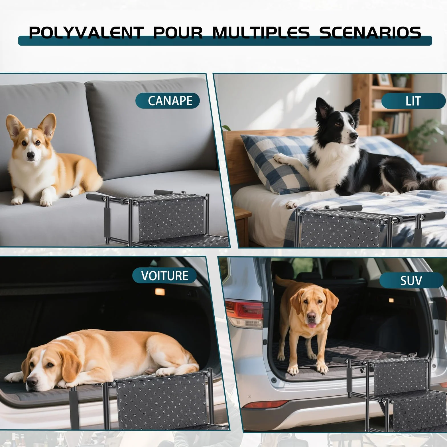 OUUTMEE Escalier pour Chien à 5 marches, Rampe Pliable avec Surface antidérapante, escalier pour Chiens Petits et Grands jusqu'à 80 kg, pour Voitures et SUV