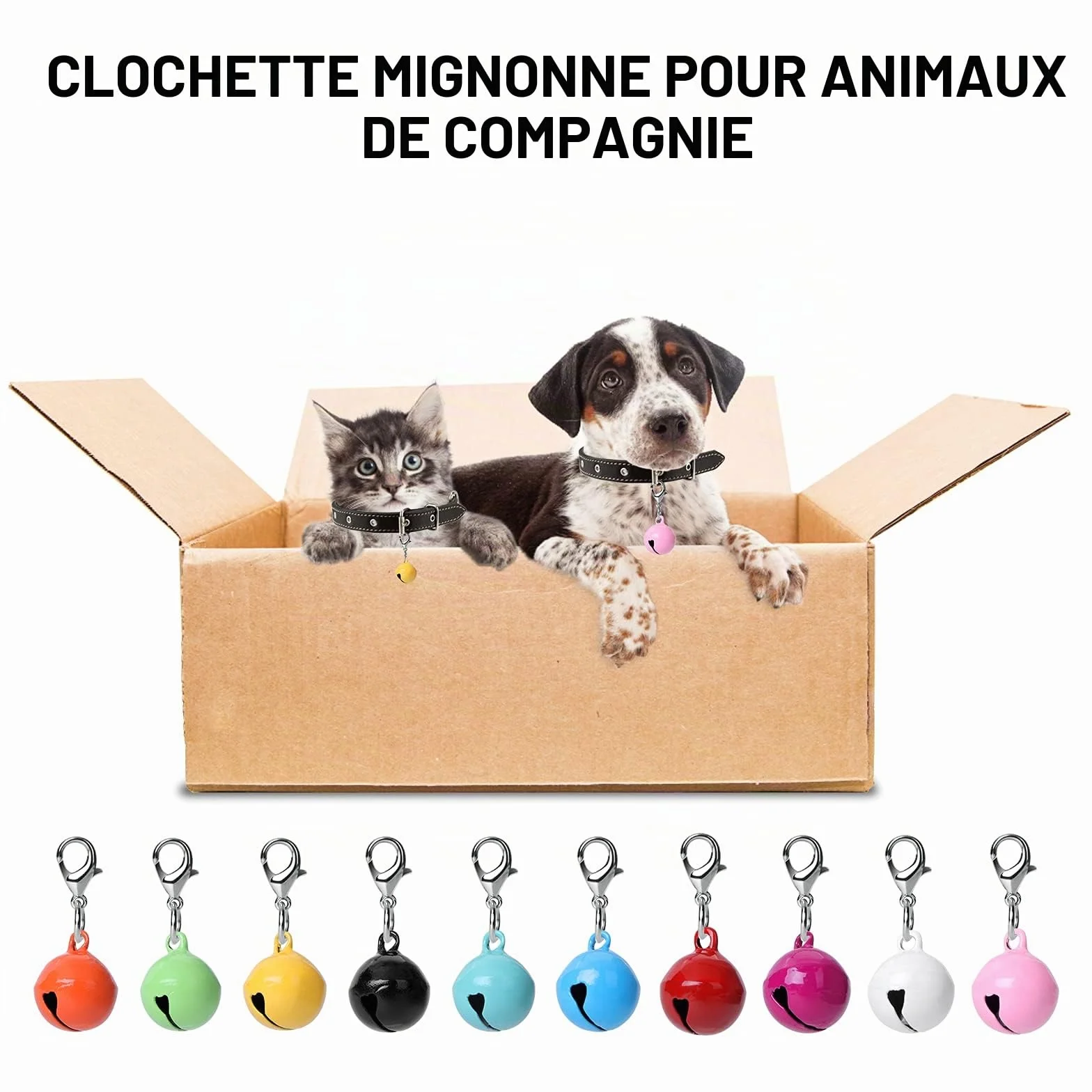 Molain Lot de 10 clochettes colorées pour collier chat chien, avec fermoirs, accessoires animaux