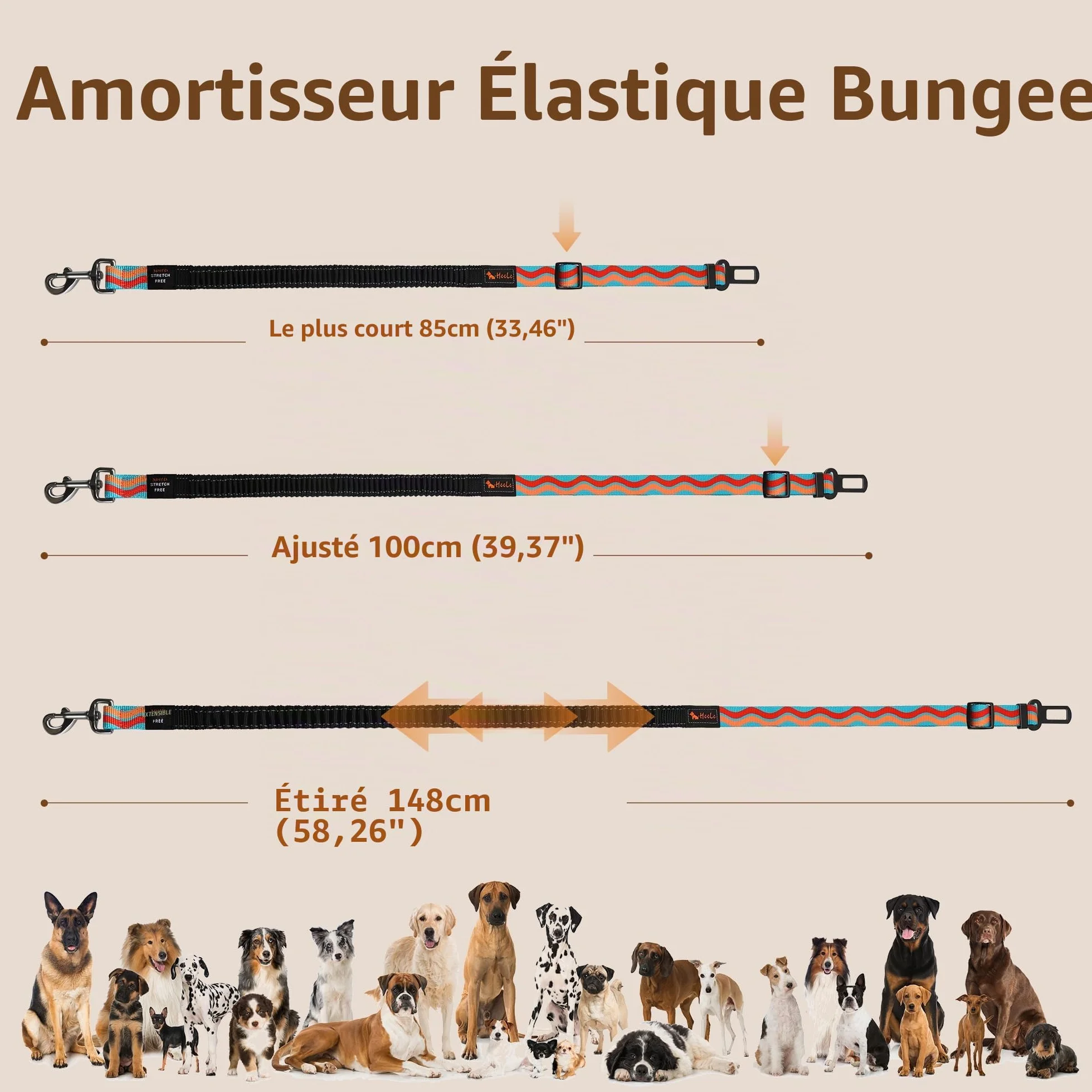AYADA Ceinture Chien Voiture Sécurité Réglable Nylon Antichoc, Attache Chien Voyage Harnais Laisse Métal (Bleu Ciel)