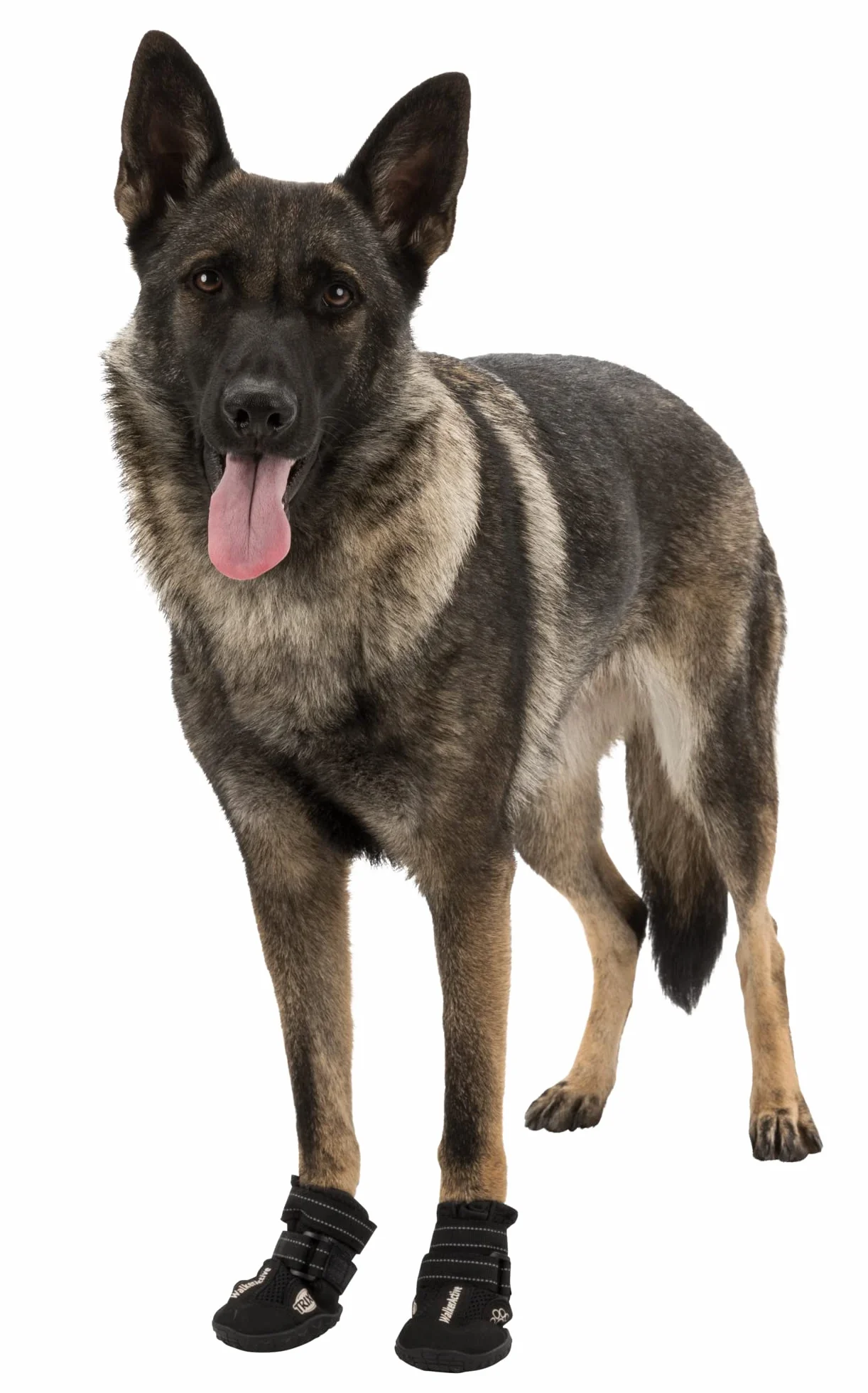 TRIXIE Walker Active protection pour pattes chaussures respirantes avec réflecteurs pour chien L