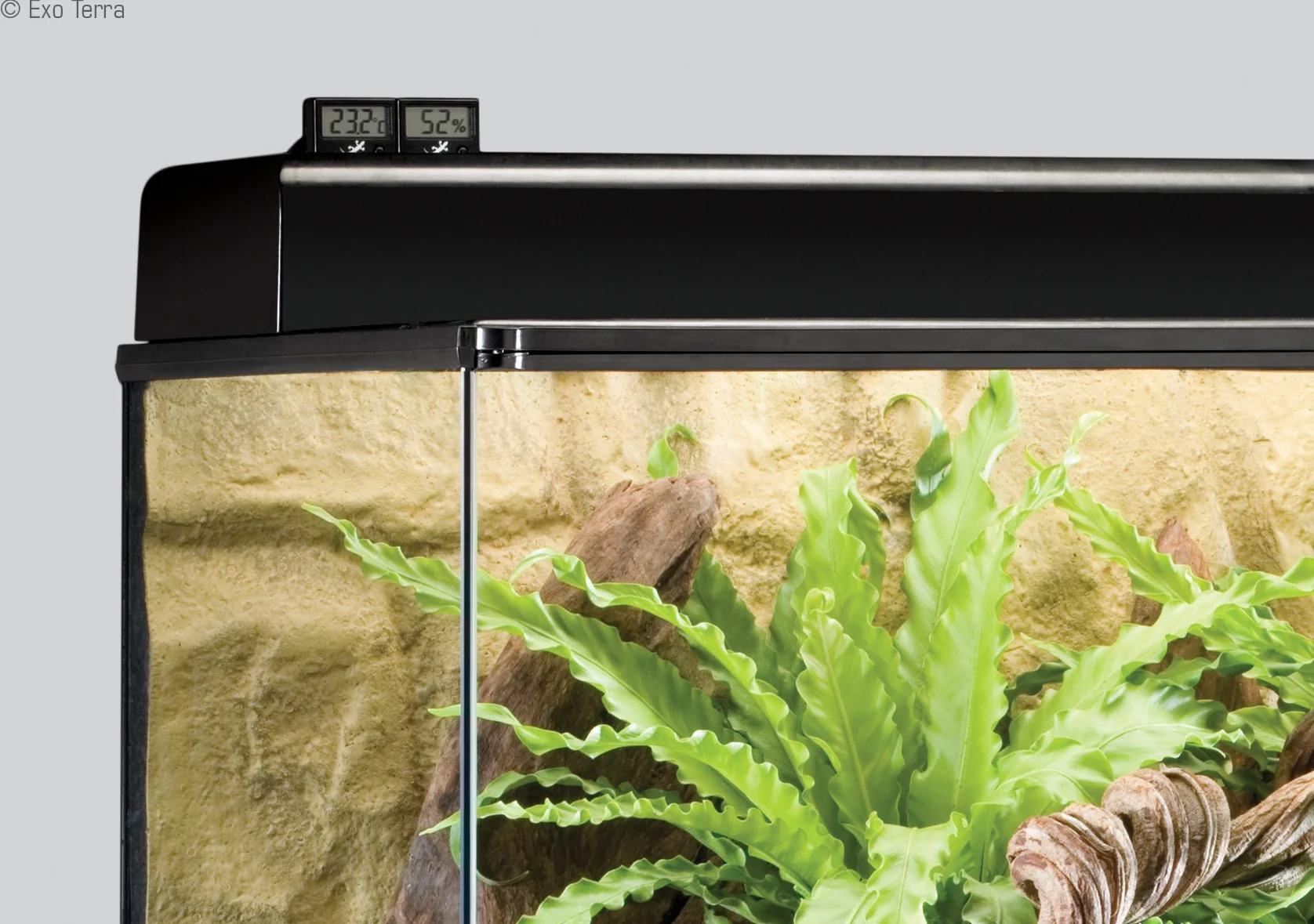 Exo Terra PT2470 Thermo/Hydromètre numérique