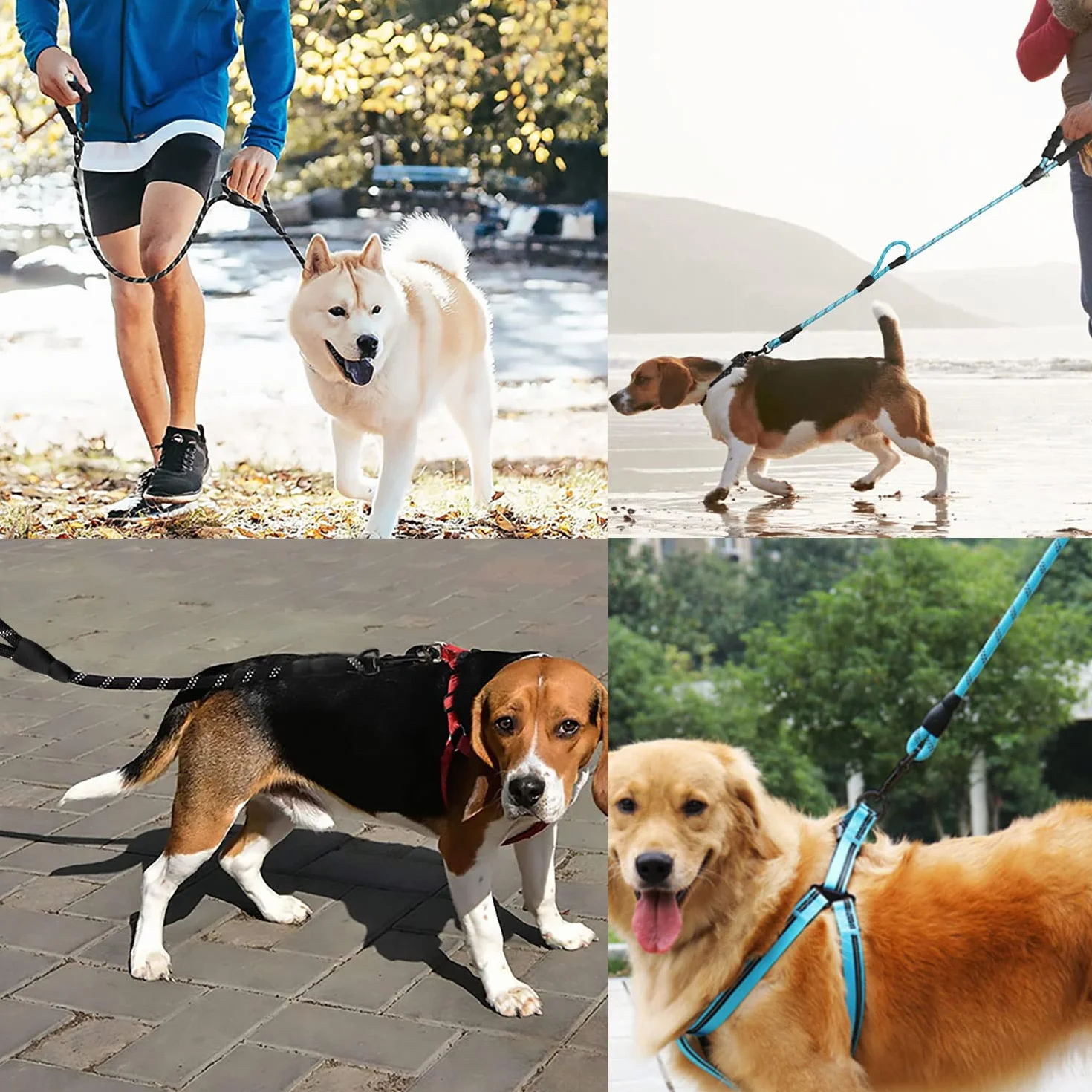Laisse Chien 180cm Durable Poignée Double Fils Réfléchissants pour Chiens Petits Moyens Grands Noir