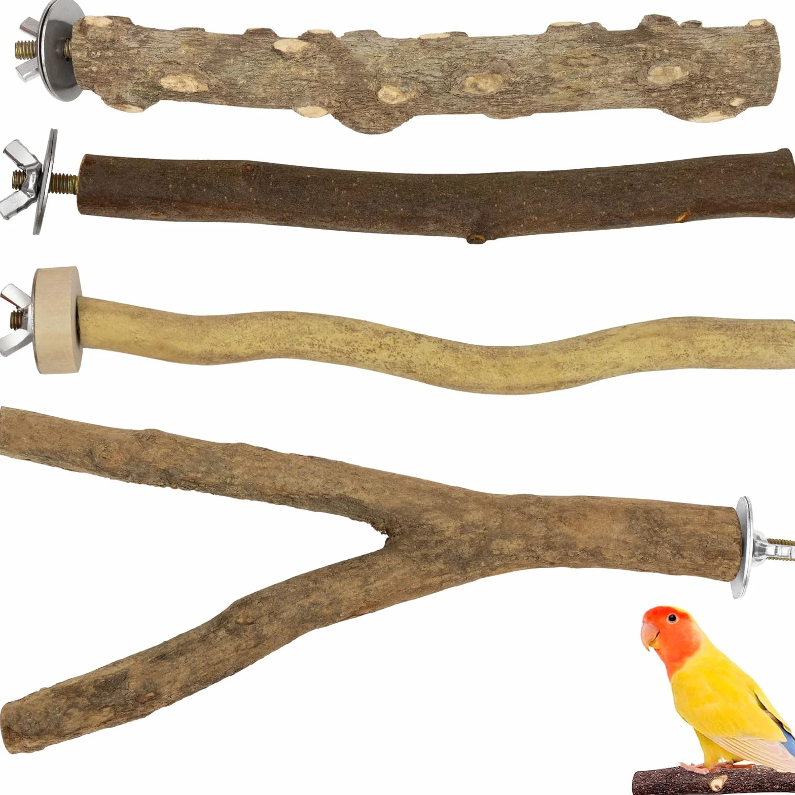 Perchoir Perroquet en Bois Naturel, Perchoirs à Oiseaux, Balançoires pour Perroquets