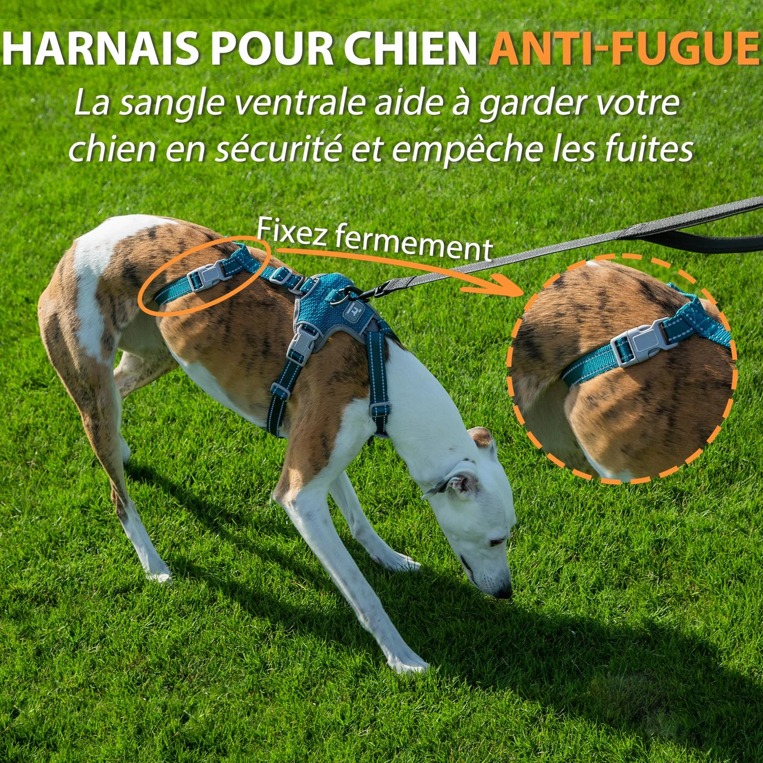 Huntboo Harnais Anti-Fugue pour Chien, Réfléchissant Anti-Traction, Durable Réglable Respirant, Bleu S