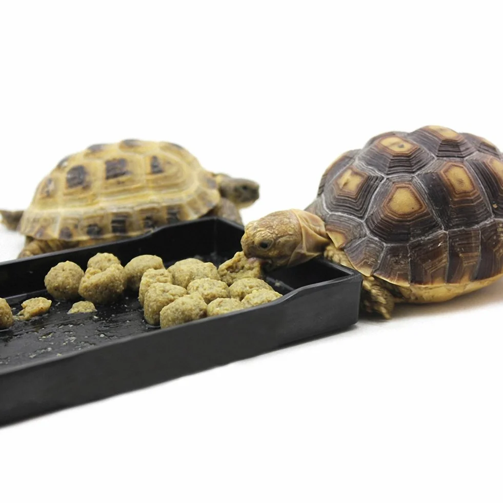 Gamelle pour Reptile OMEM Grand Plat à Eau, Bol pour Tortue XL Treillis Noir