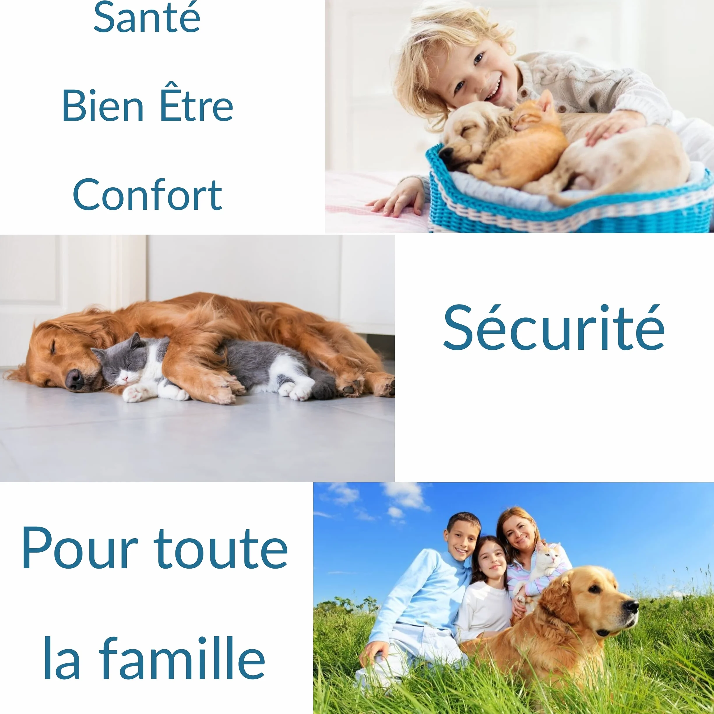 Peigne anti puces chien chat acier inoxydable outil toilettage brosse pointes arrondies anti blessure