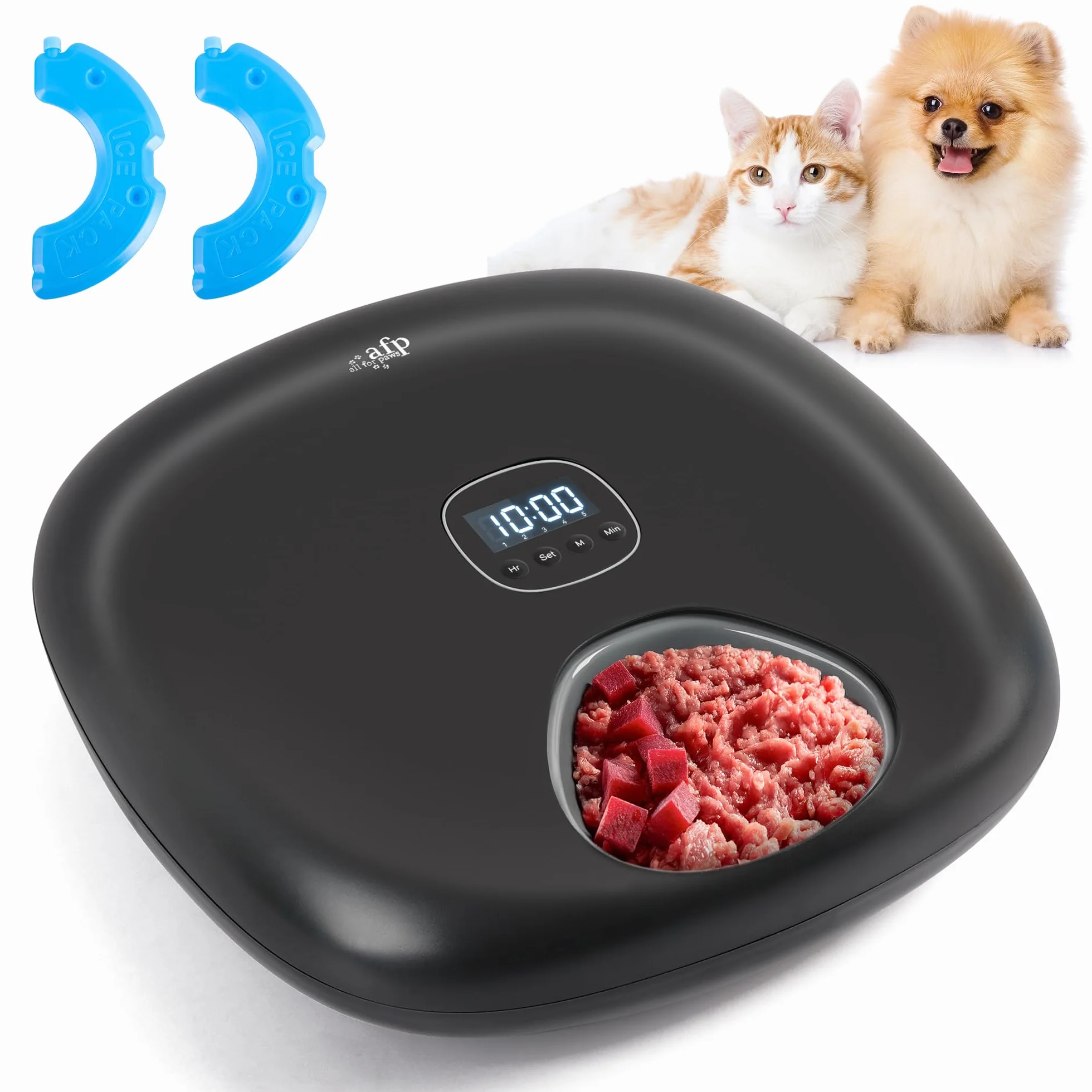 ALL FOR PAWS Distributeur Automatique de Nourriture sans Fil pour Chat 6 Repas, Accepte Nourriture Humide & Sèche, Rechargeable, Minuterie Programmable