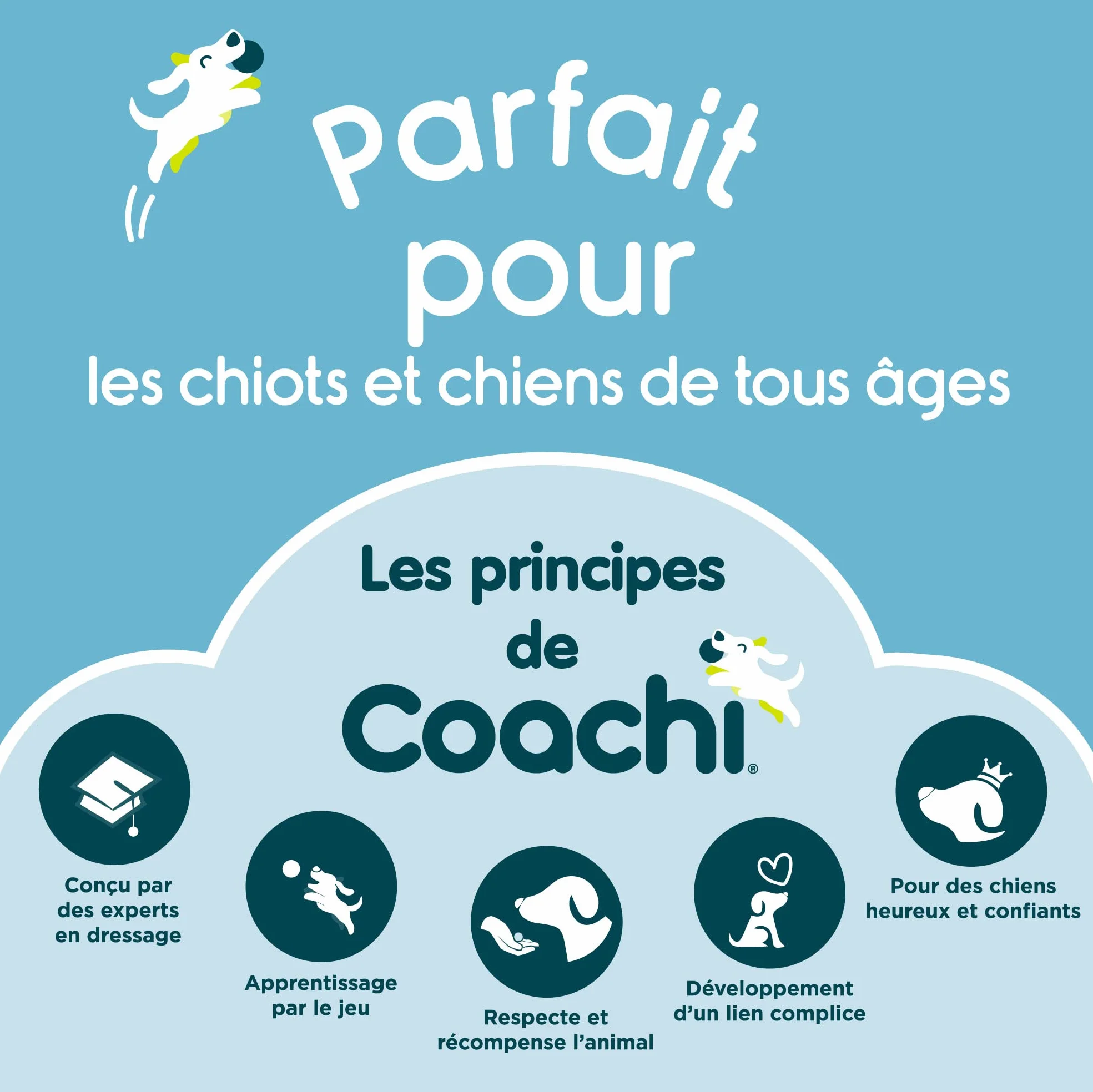 Training Line 10m Coachi imperméable Dressage en extérieur pour Moyens et Grands Chiens