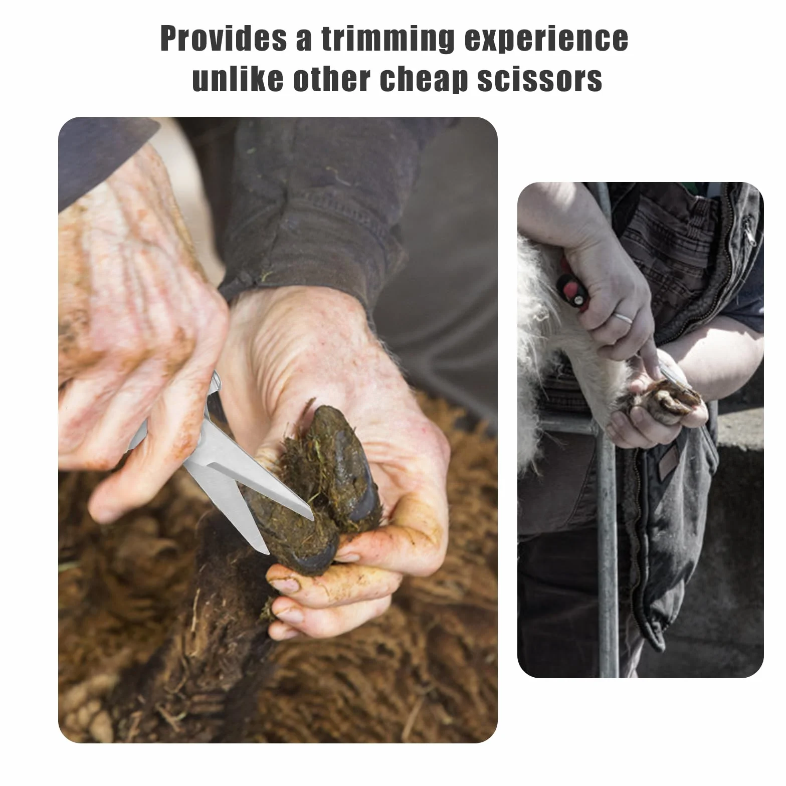 PEUTIER Coupe-Ongles de Chèvre, Outil de Coupe de Sabots en Acier Inoxydable avec Cisailles à Sabots à Ressort Coupe-Ongles de Mouton pour Cochon, Cheval, Bétail
