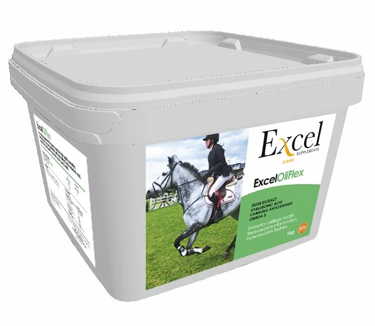 Excel OliFlex Suppléments pour Chevaux Santé des Articulations Cartilage