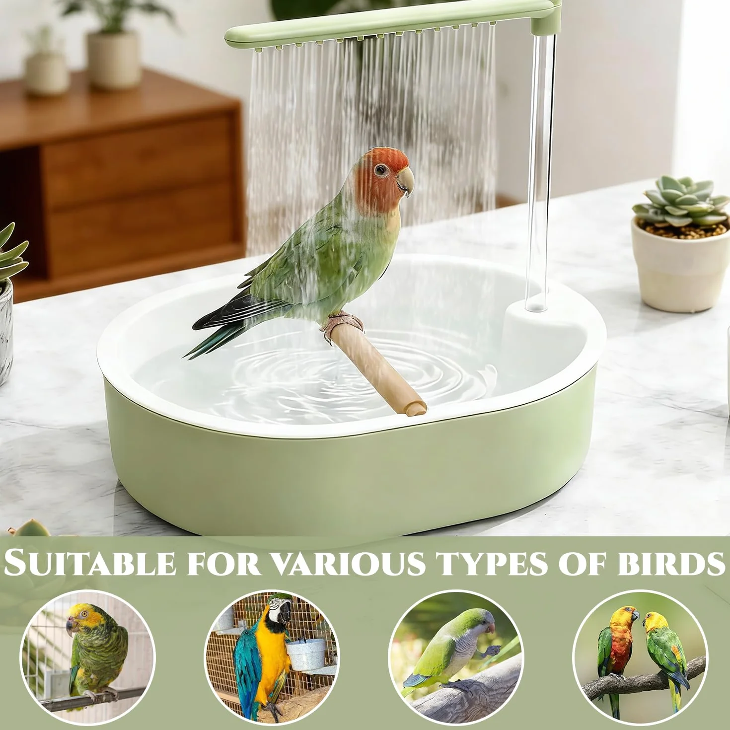 Douche à Oiseaux Automatique pour Perroquets Perruches Calopsittes