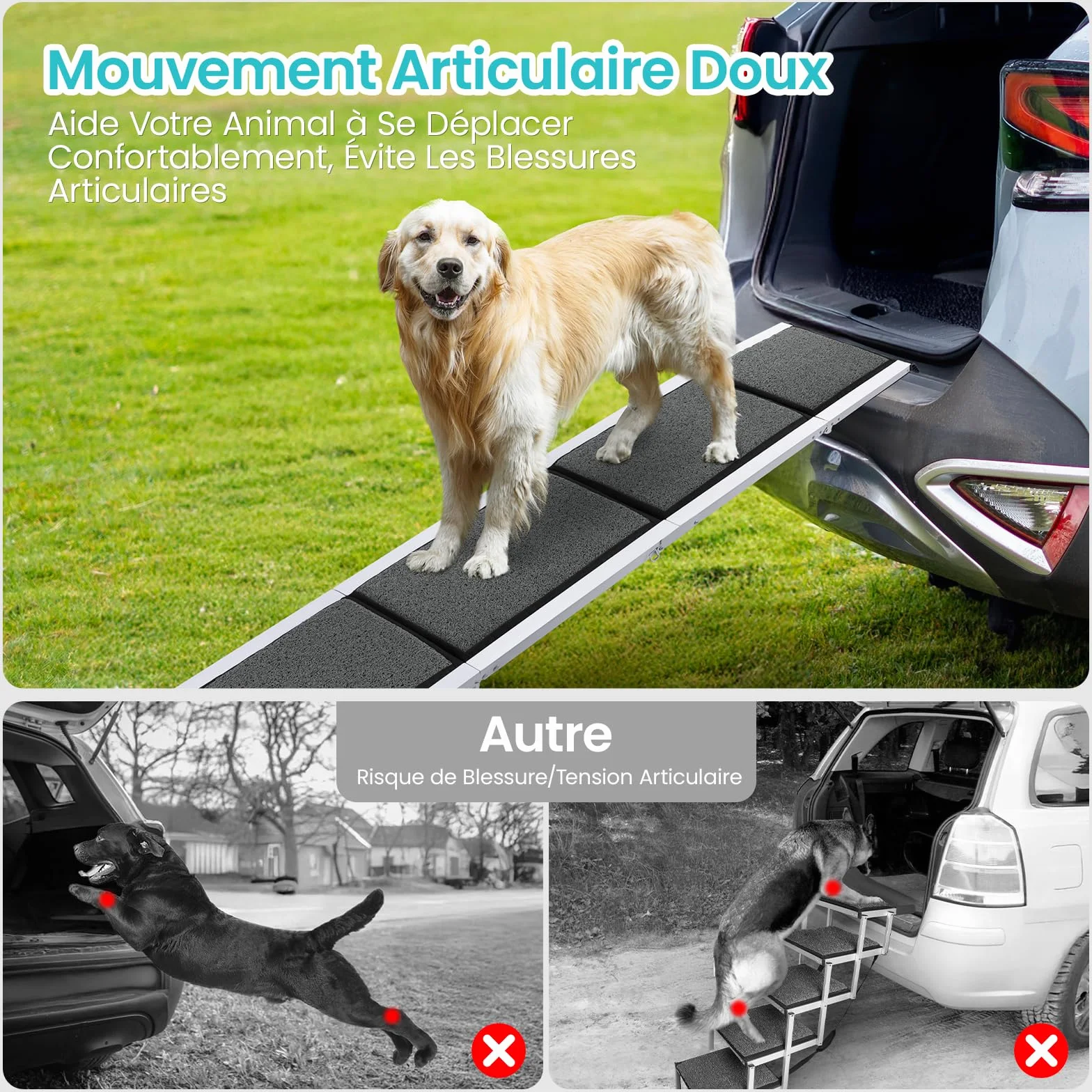 DAISTERN de BSWAY Rampe pour Chien Voiture Pliable 180cm x 50cm, Rampe d'Accès Escalier Extérieur avec Tapis Antidérapant, Cadre en Métal Aluminium Revêtu de Poudre Capacité de Charge jusqu'à 129KG