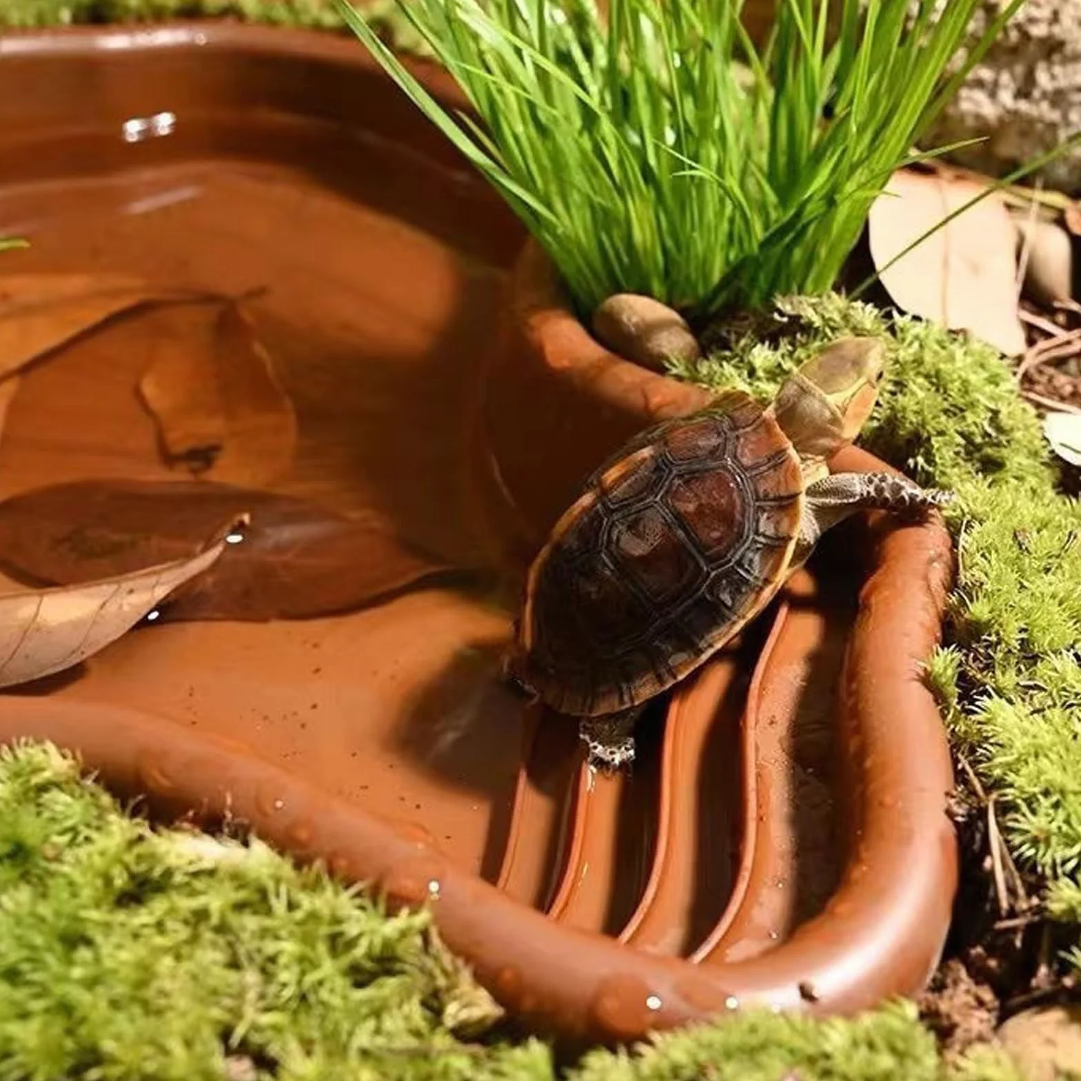 Baignoire pour Reptiles Piscine pour Tortue Terrestre avec Absorbeur d'eau Manuel